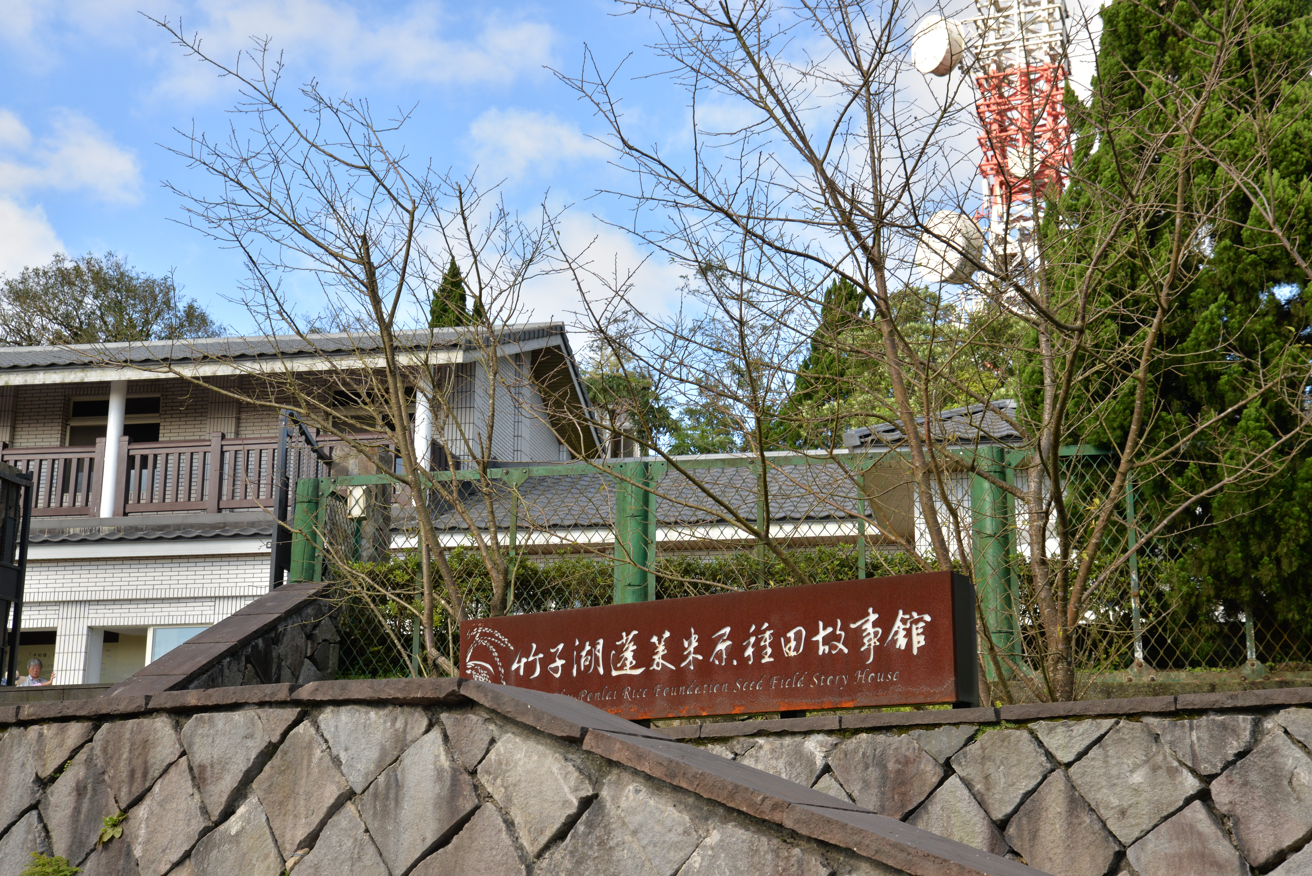 照片1 竹子湖蓬萊米原種田故事館