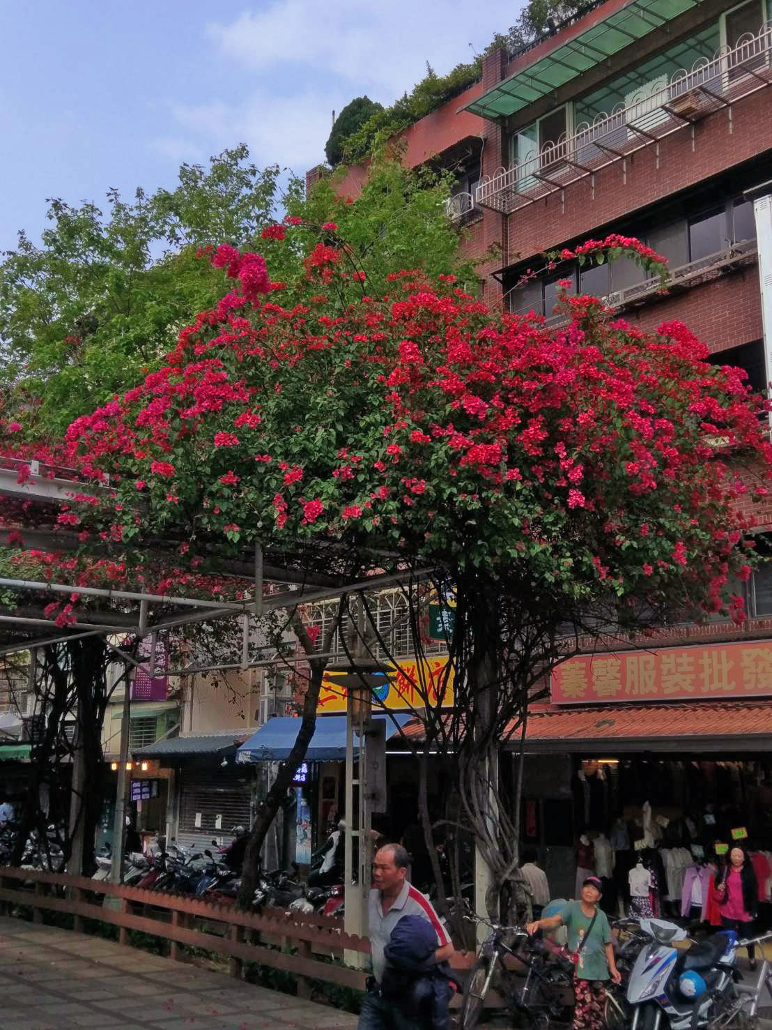 朱泥 朱塗り 遊雲鳳凰刻 四足 龍雲刻 花台 香台 盆栽台 高台 朱泥 朱塗り 遊雲鳳凰刻 四足 龍雲刻 花台 香台 盆栽台 高台 2年