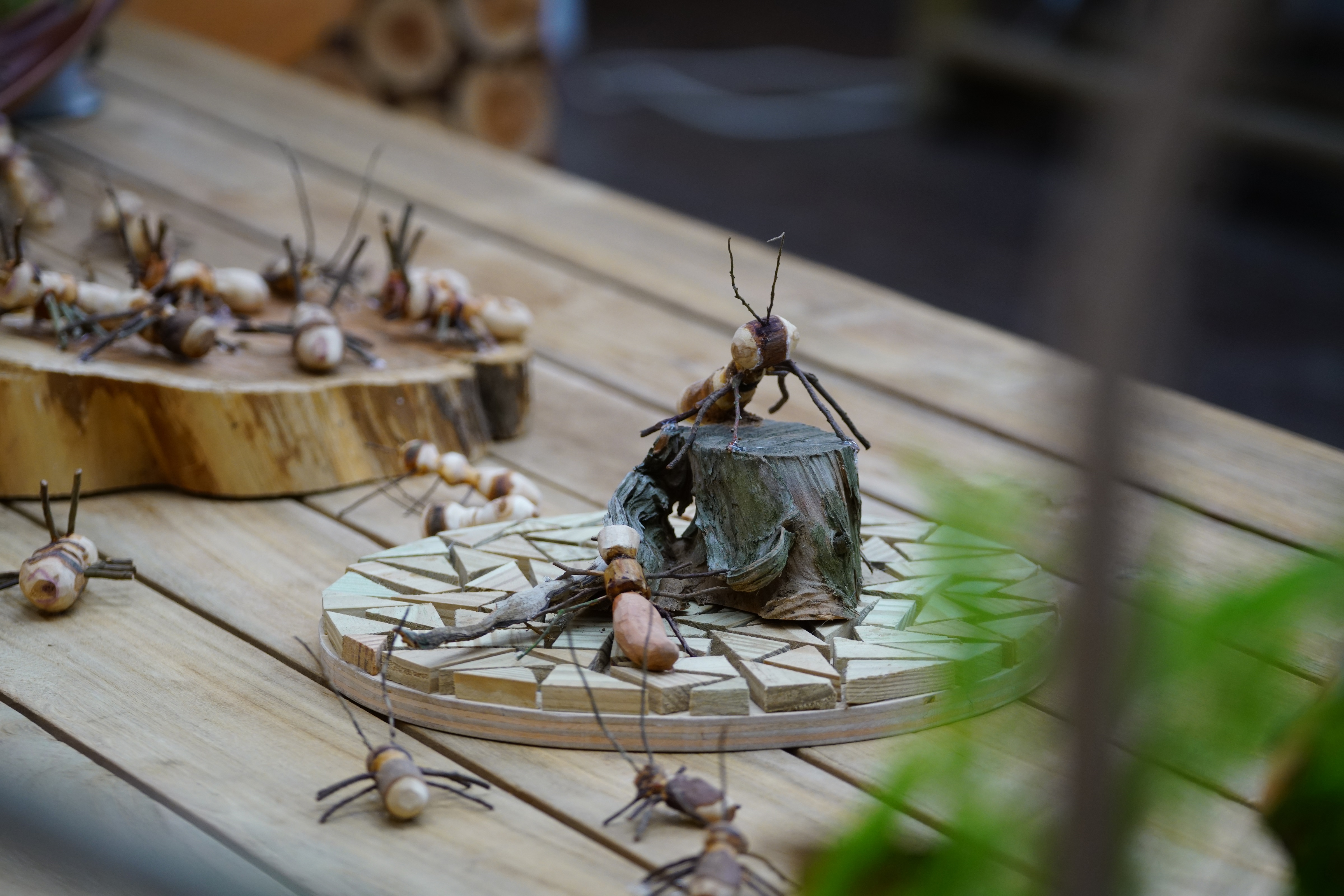 枯木逢春展覽品 (4)