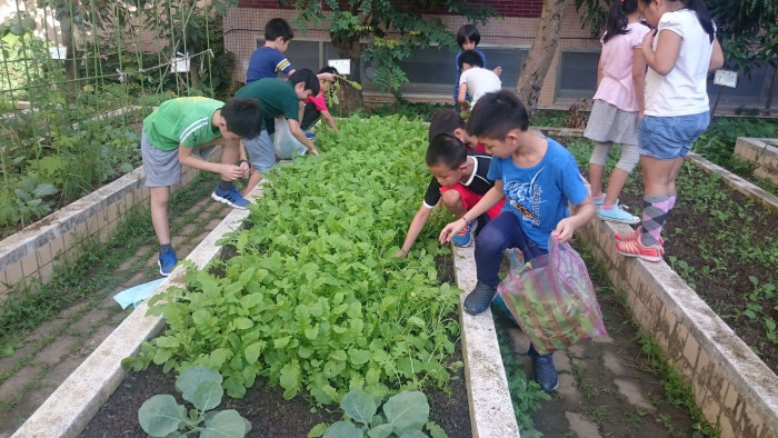 7.田園城市-小田園(芝山國小)現況照片