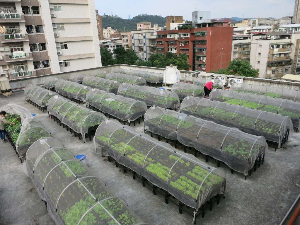 8.田園城市-綠屋頂(古亭地政事務所)現況照片