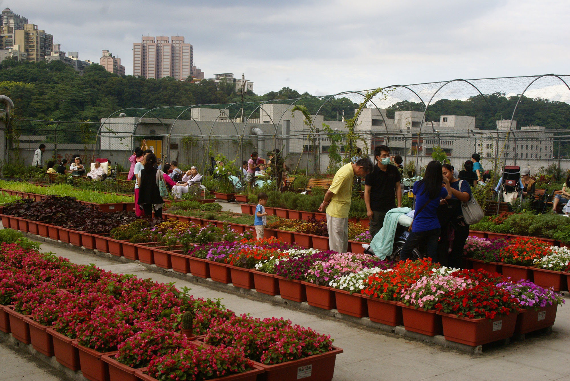 9.田園城市-綠屋頂(萬芳農園)現況照片