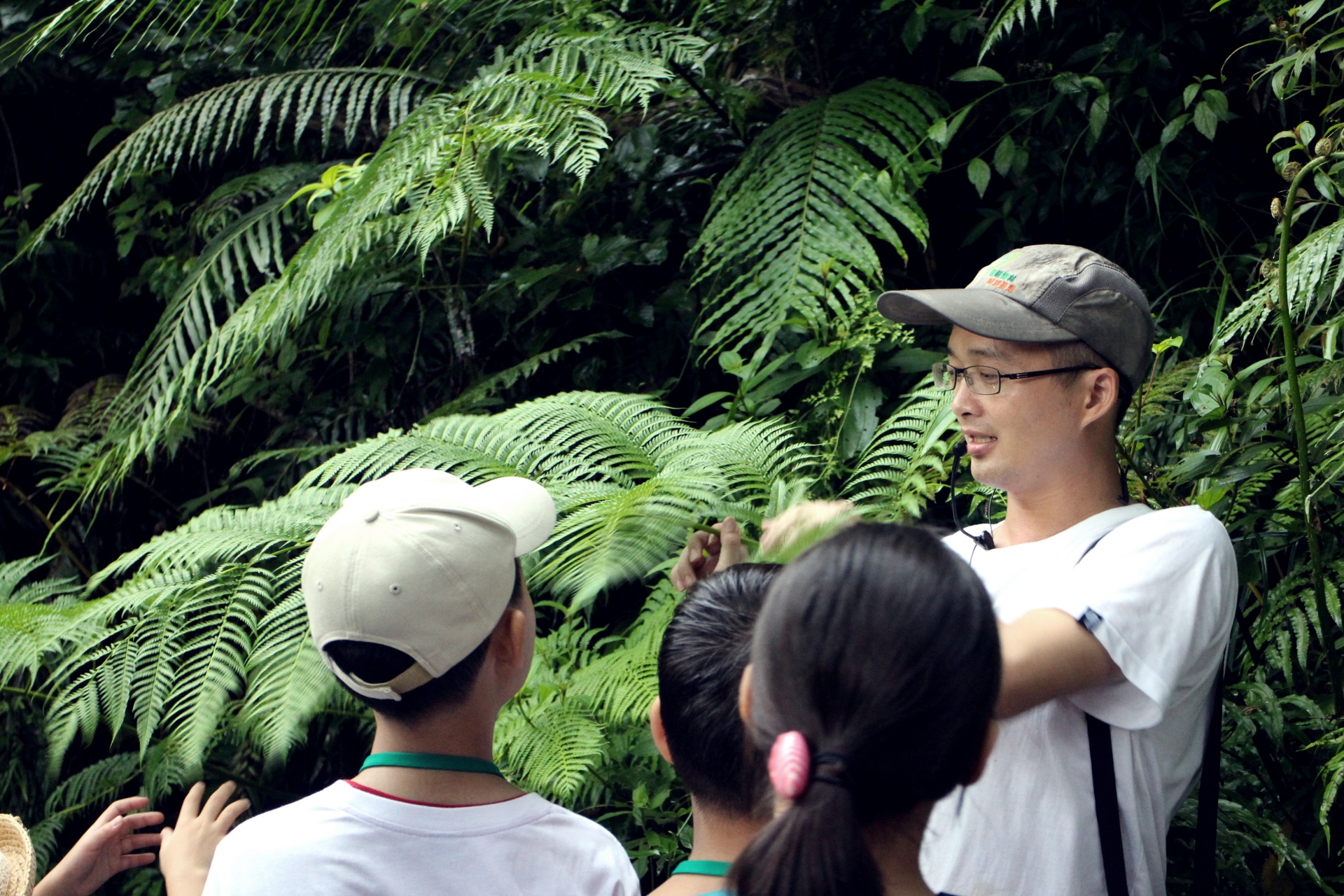 臺北市內溝溪擁有豐富蕨類生態，親身體驗自然教室，小朋友受益良多。