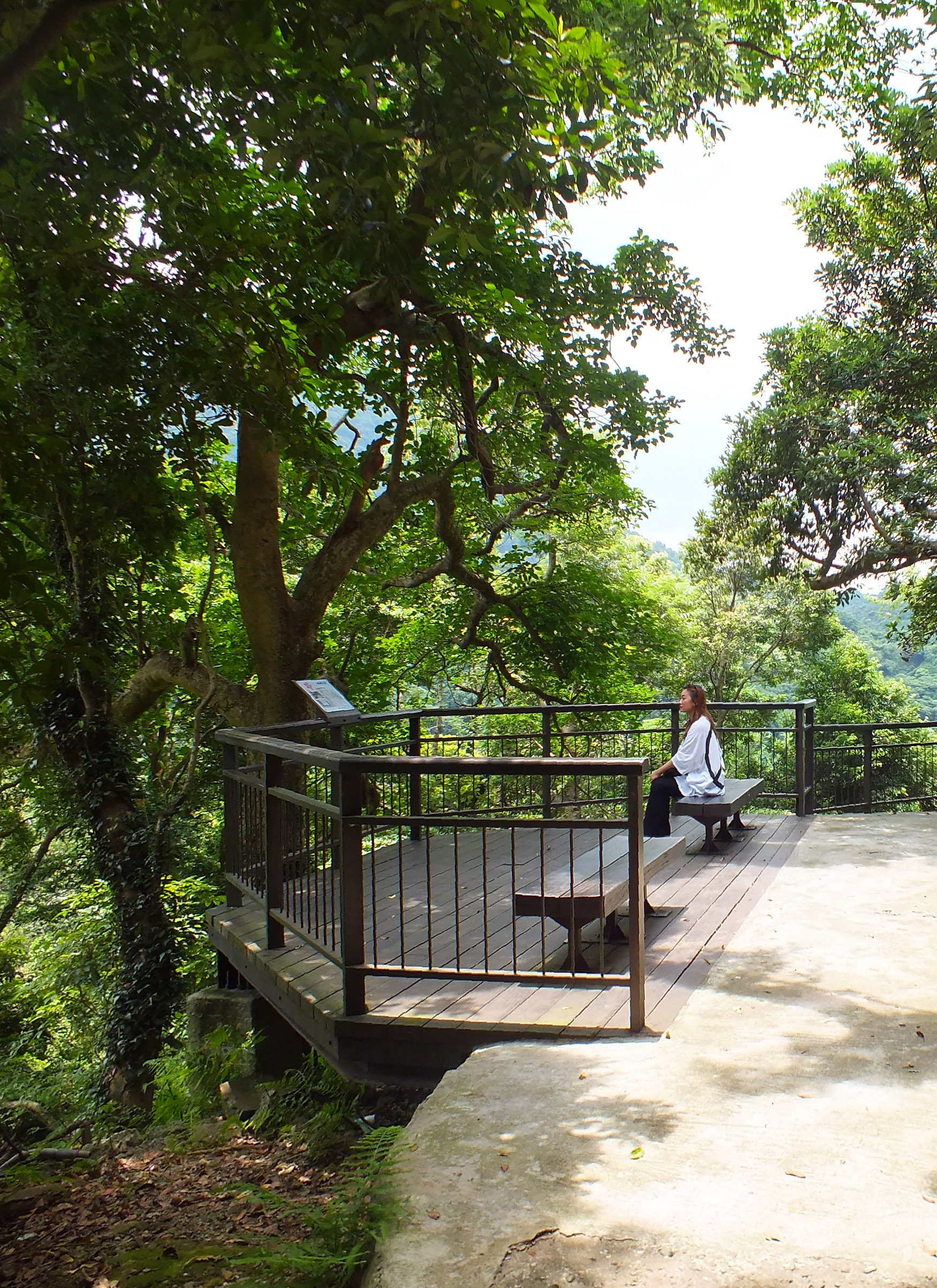 照片5　休憩於樂水平台林蔭下，吸收芬多精