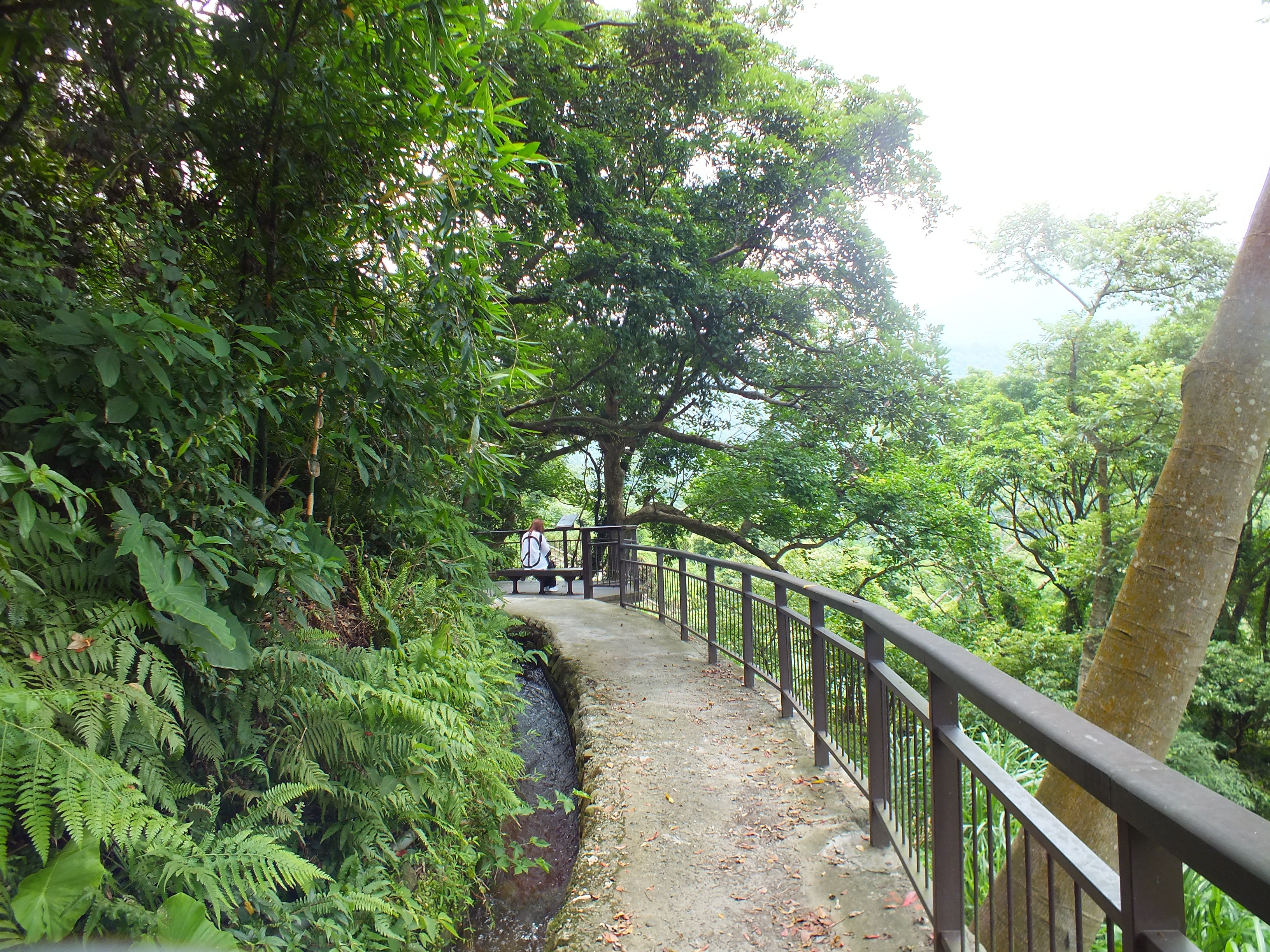 照片4　消暑秘境—十八挖古圳