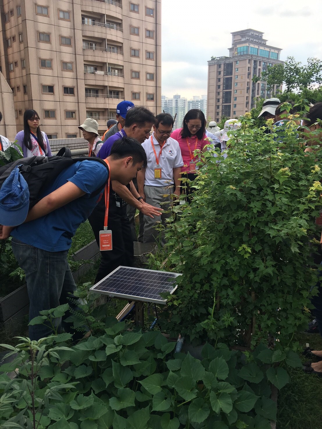 設置太陽能板提供生態水池打氣循環所需的用電