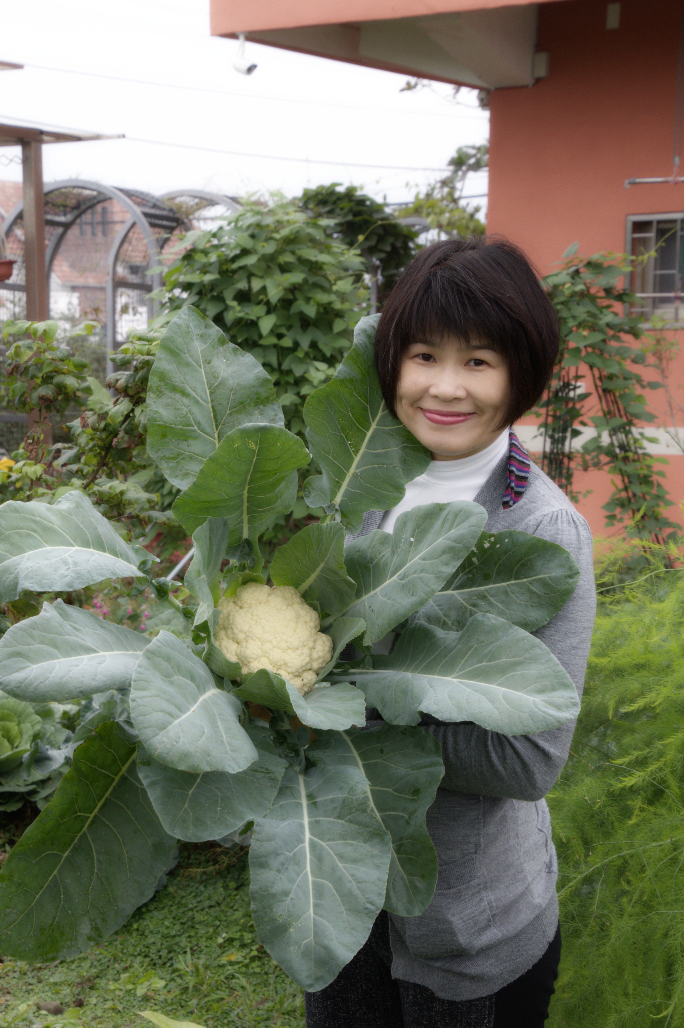 圖3.「居家蔬菜栽培技巧」課程(陸莉娟提供)