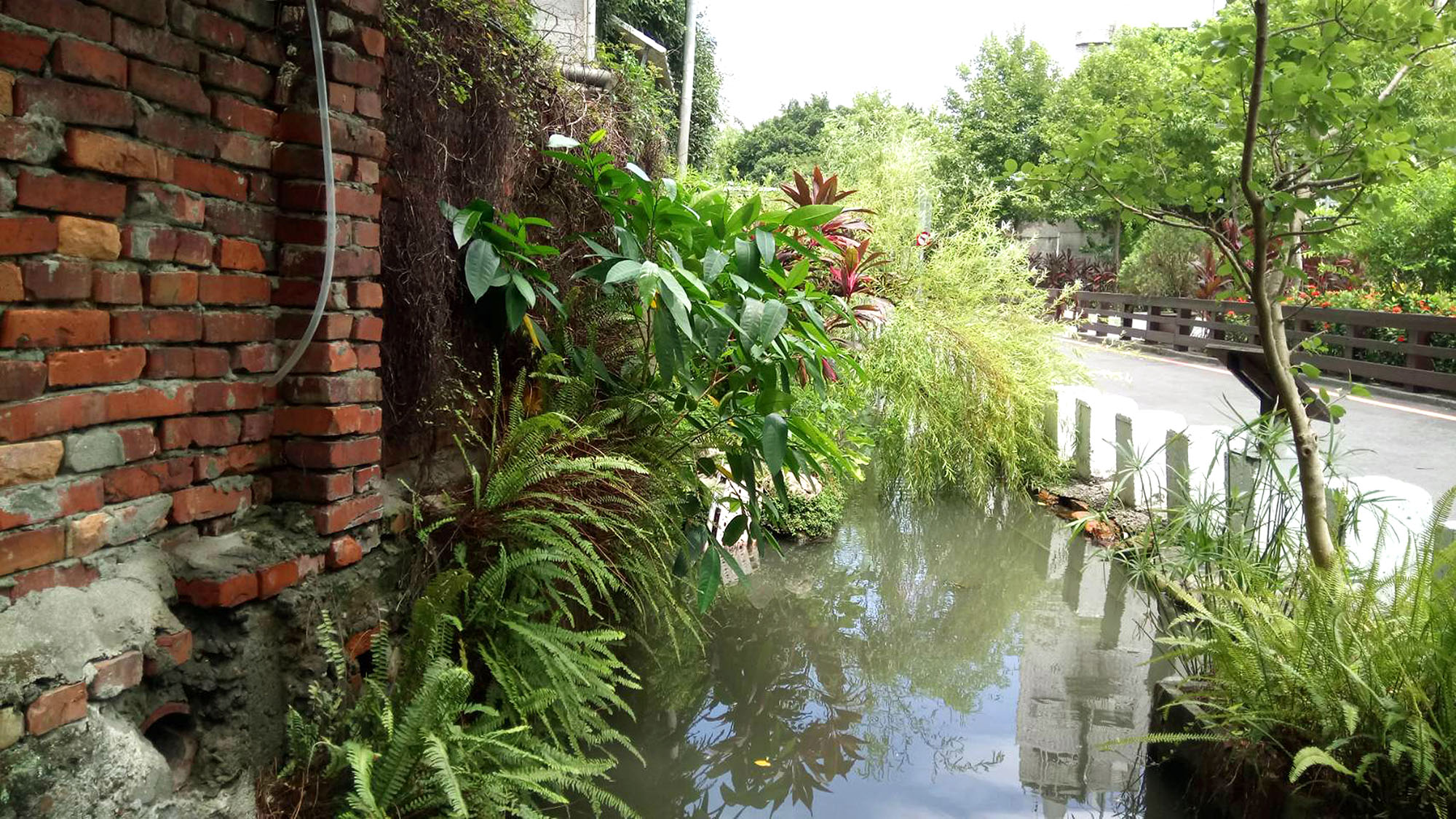 (圖3)紅磚屋、垂柳構築成一幅畫