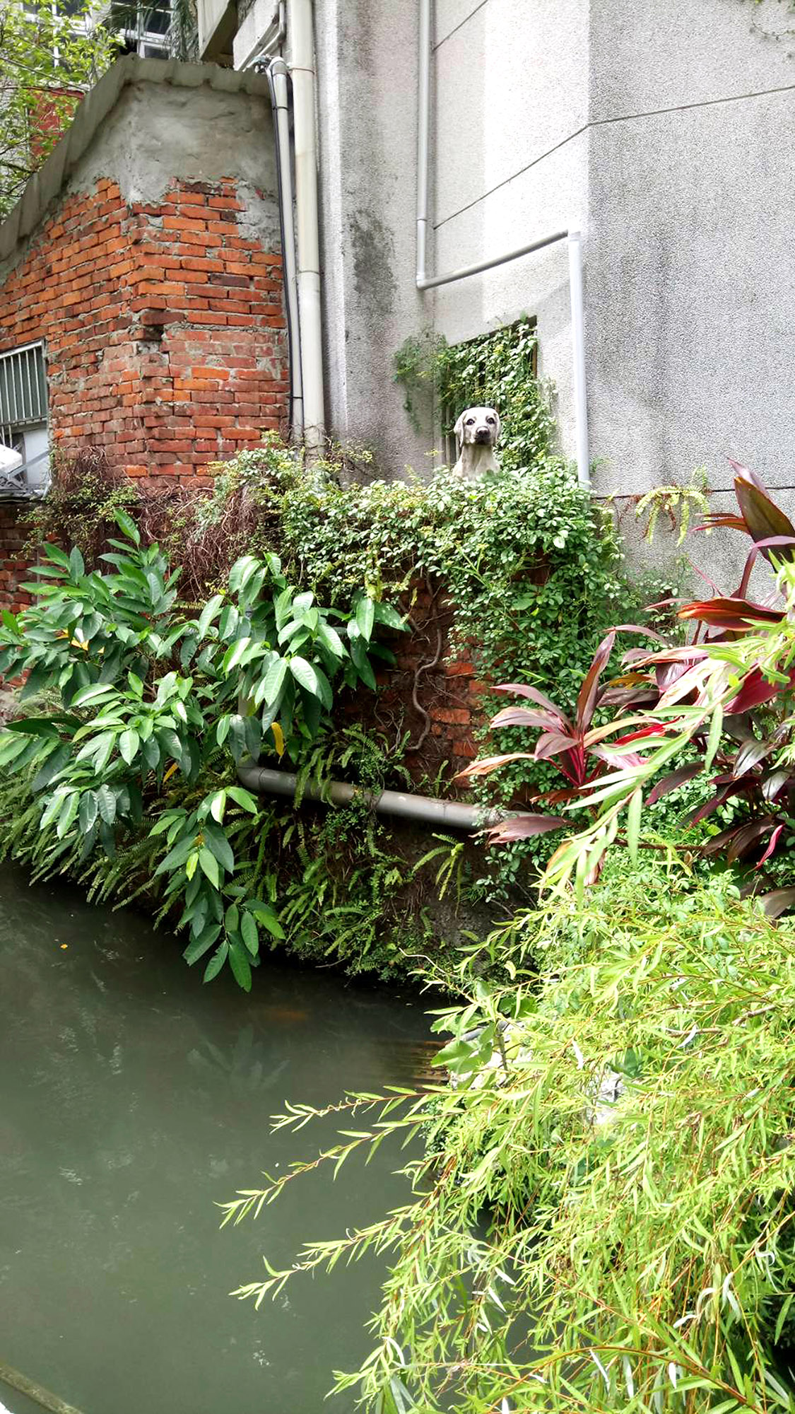 (圖4)引入地方意象提升人文情感