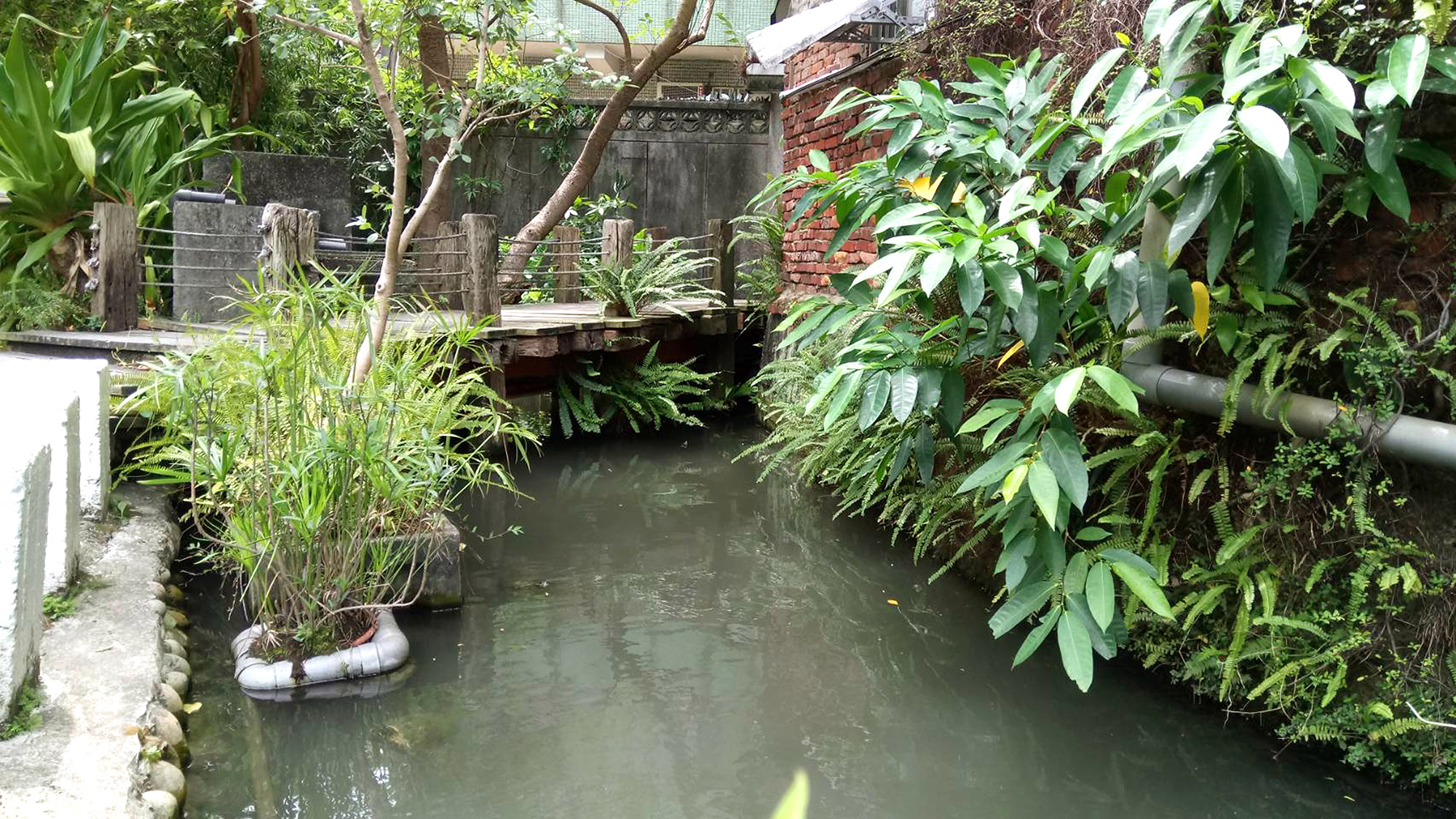 (圖5)水圳、木橋配上周邊植栽塑造出特色景點