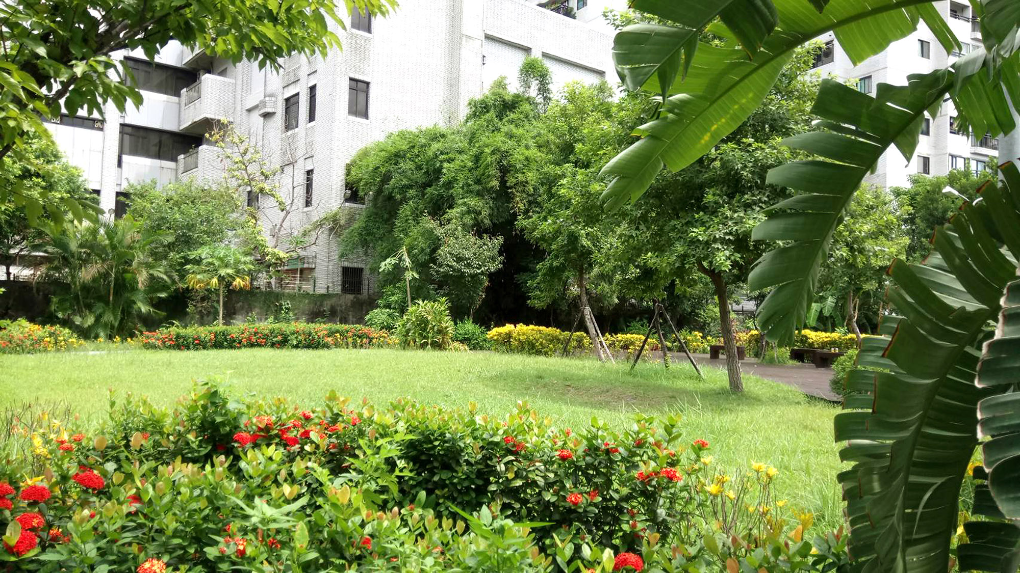 (圖6) 鄰近綠地有開闊草坪提供良好休憩空間