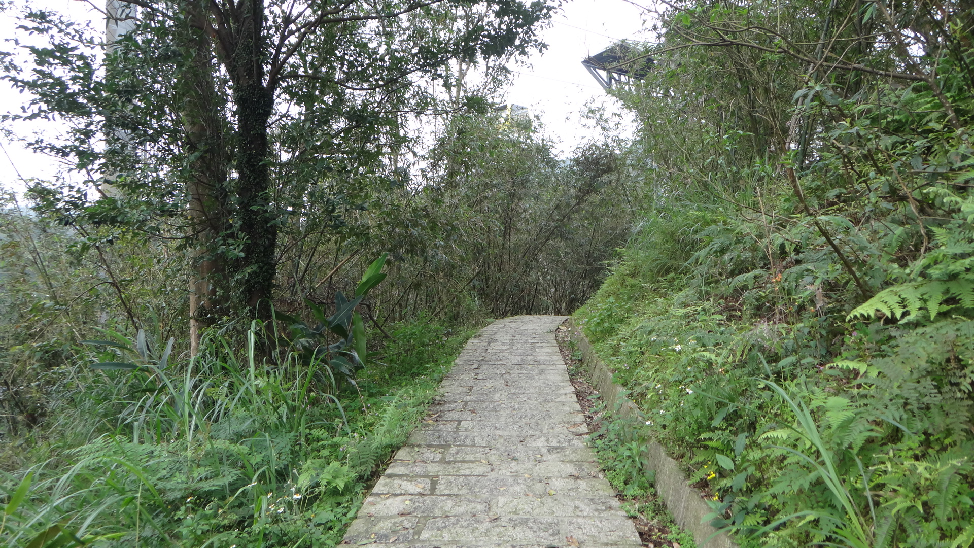 照片8　三玄宮步道可通往貓空纜車站