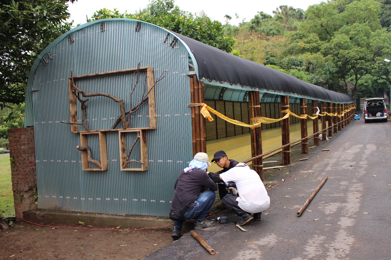 圖4. 展示重點之一的大菊品種展示，同仁正發揮創意佈展中，壯觀場面令人期待