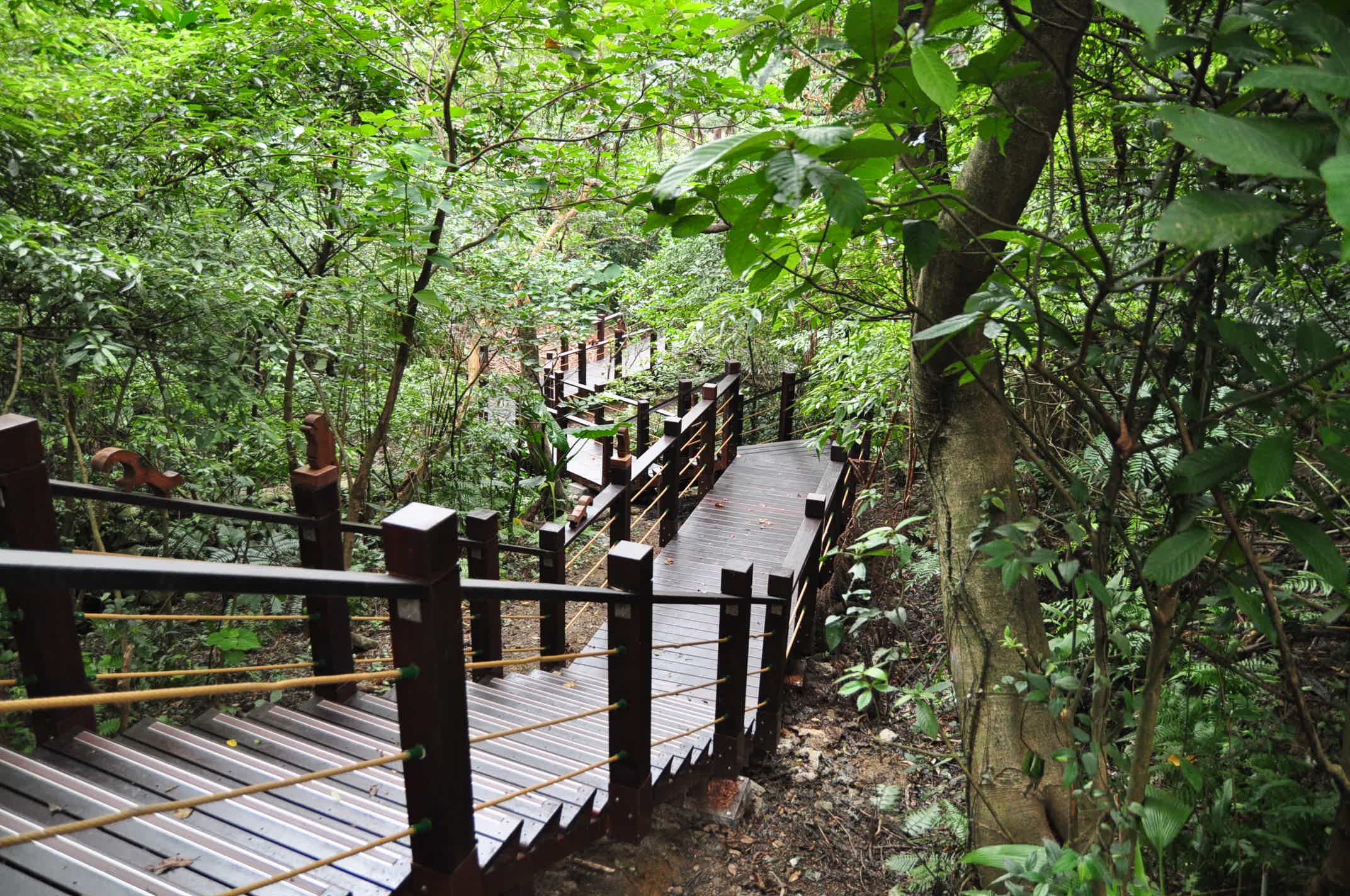 貓空健康步道