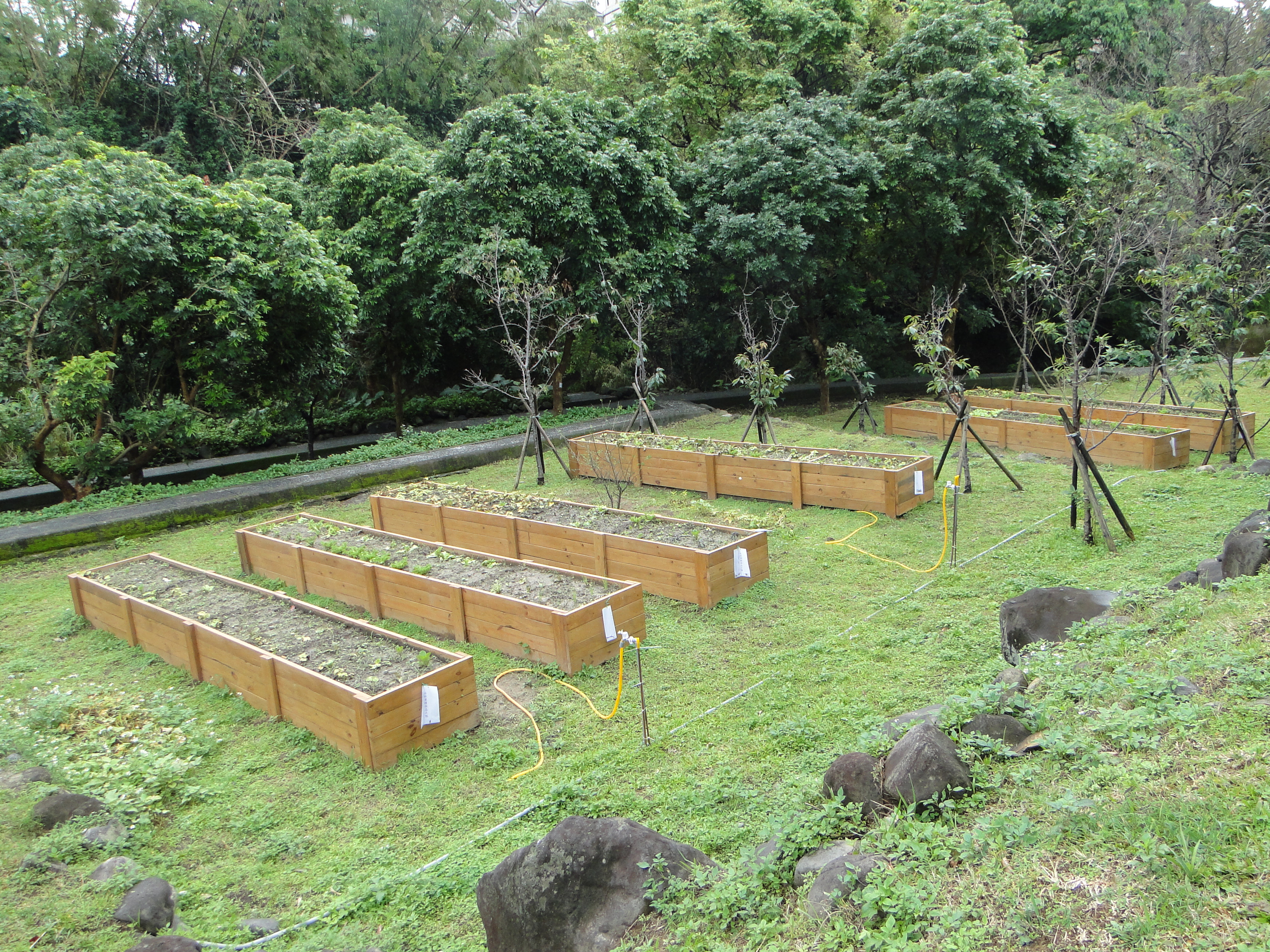 7永欣里環保志工隊認養城市菜園