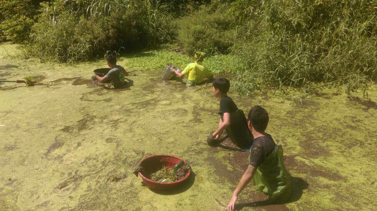 炎炎夏日志工夥伴仍利用工作假期清理榮星花園公園生態池