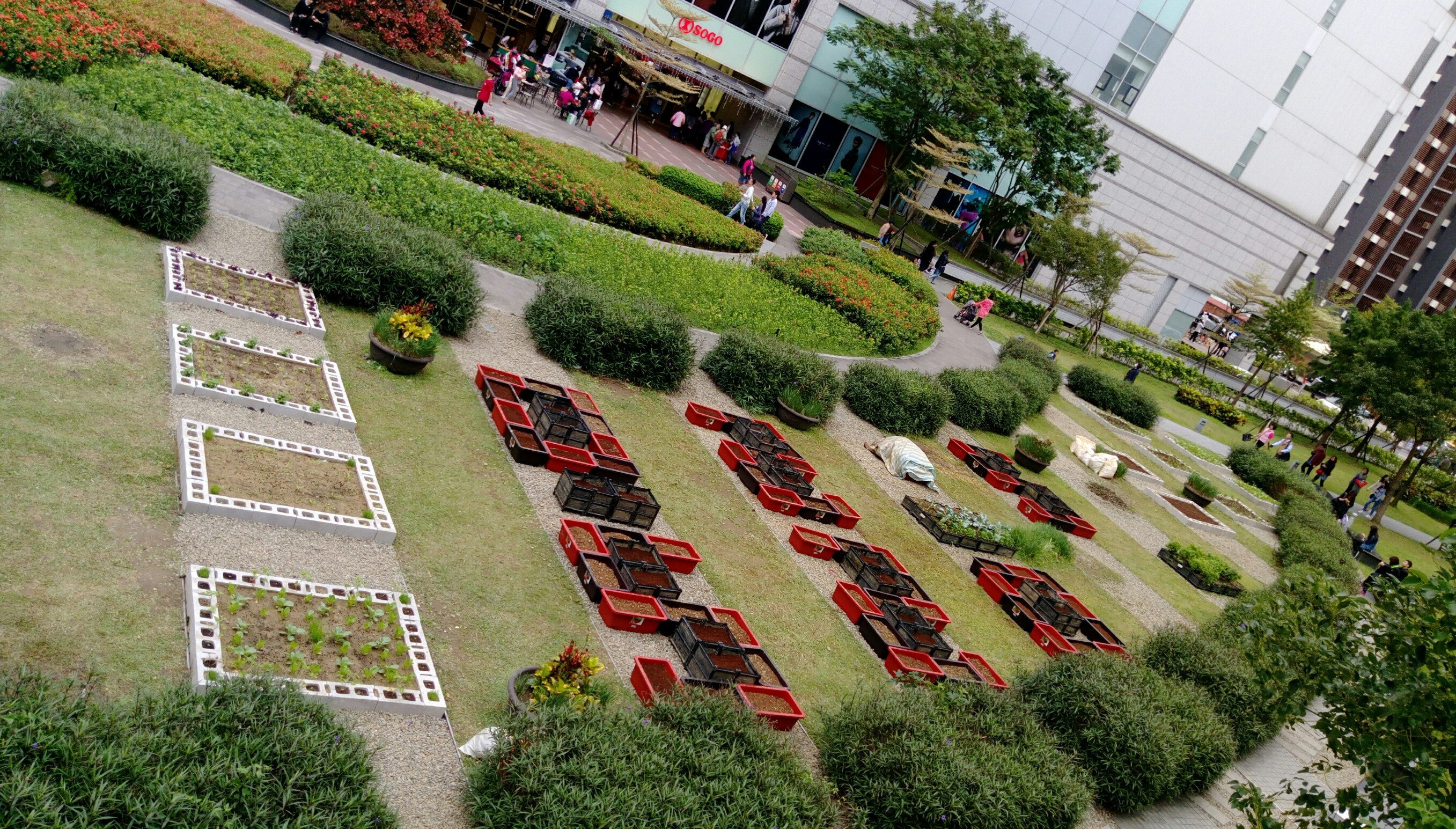 德行公園田園基地建置-繽紛農園大變身2