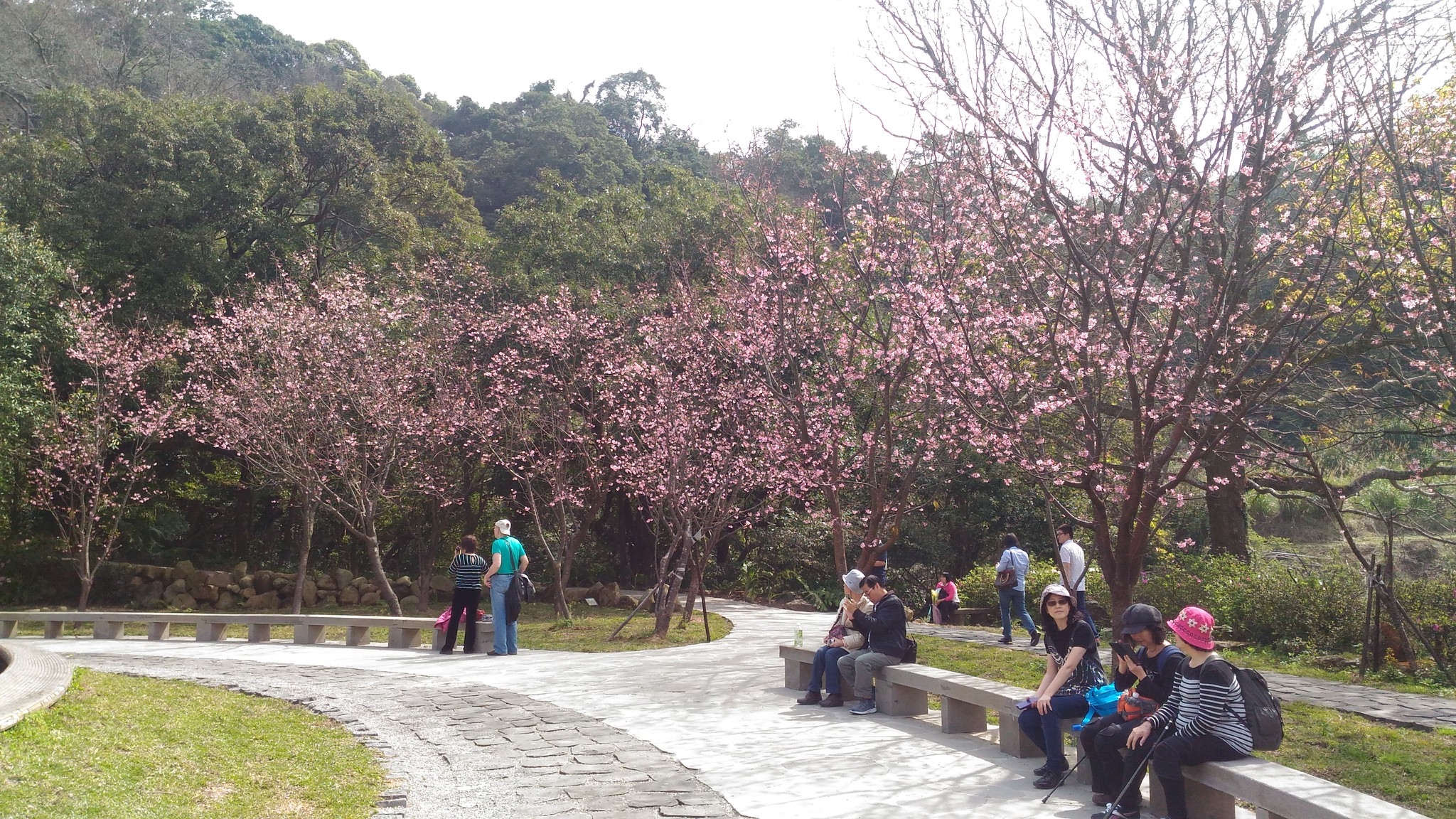 照片8. 陽明公園-全齡步道貫通園區之友善遊園動線