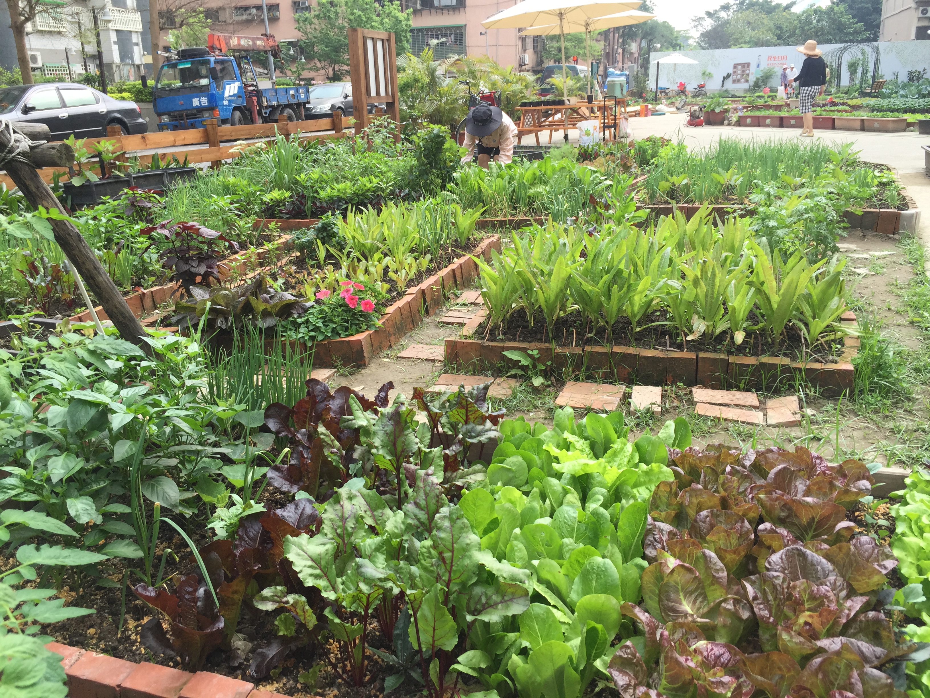 鵬程里農園是北市第一個落實公民參與的田園基地