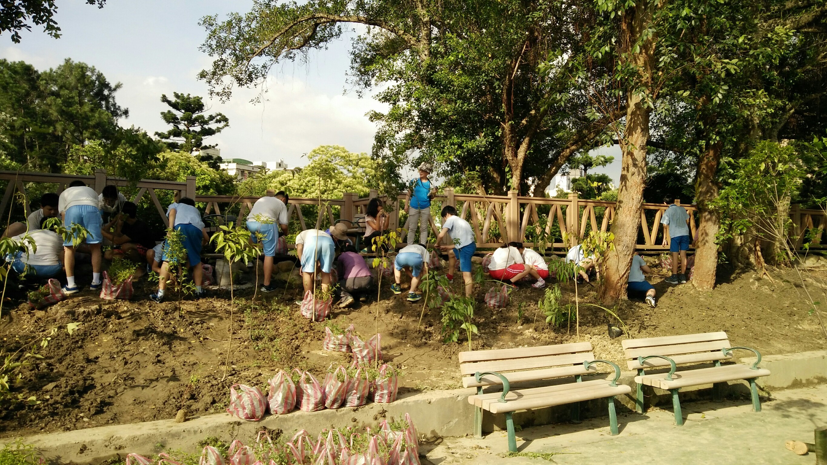 八、五常國中師生種植原生植物之大多為重要的蜜源與食草植物
