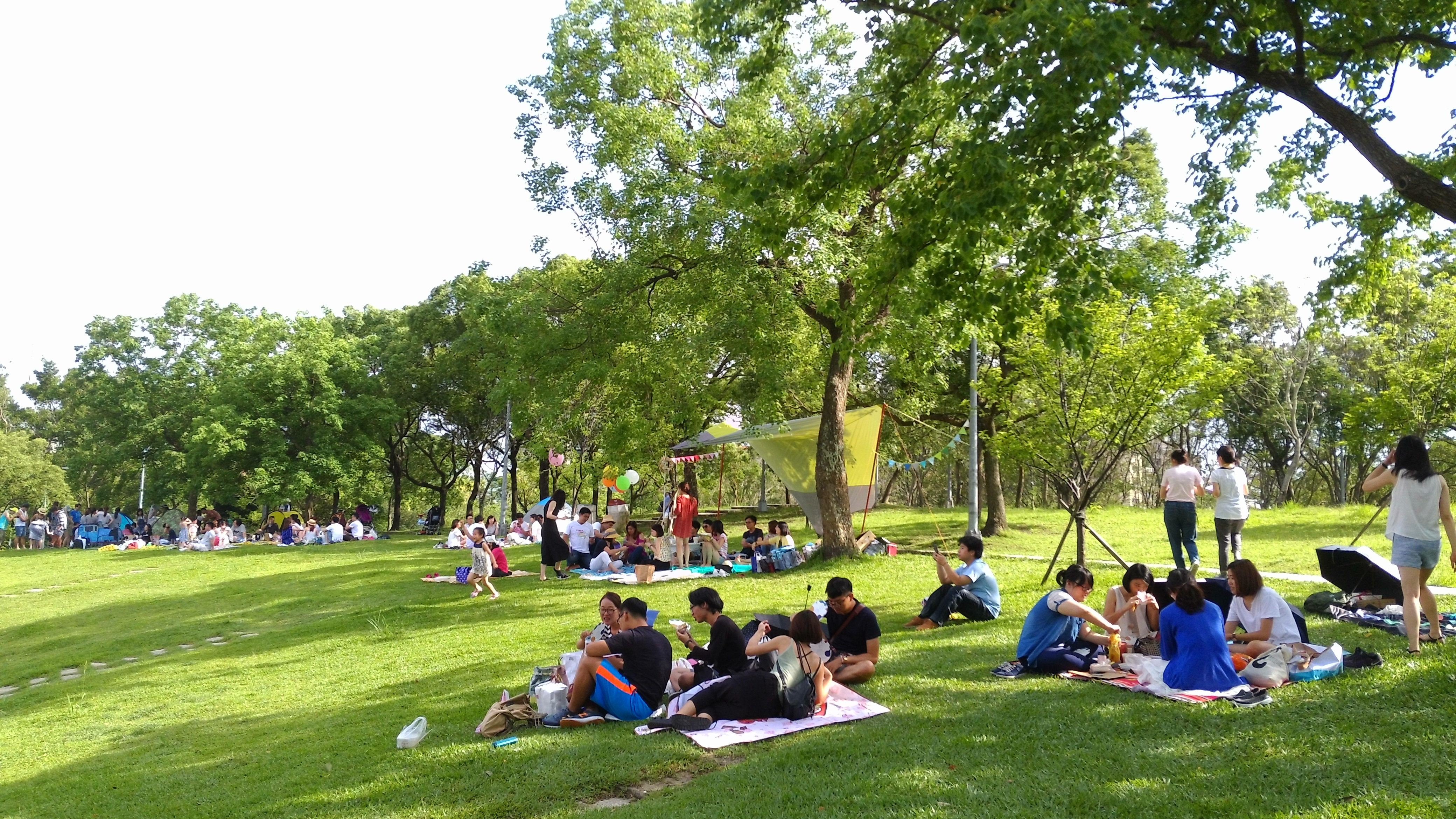 1.公園草坪是親子聚會的好場所