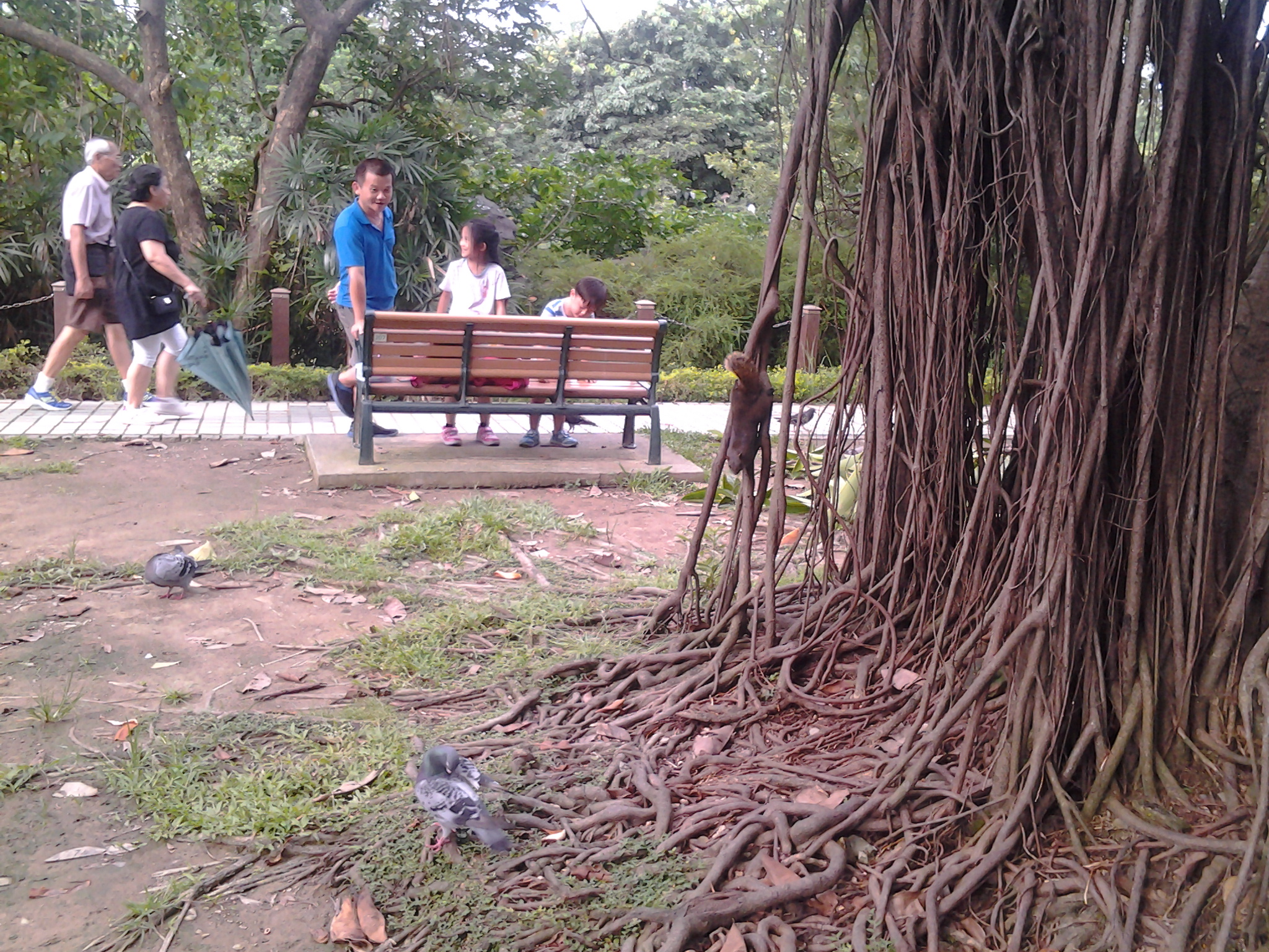 6.公園內有可愛的松鼠和鴿子