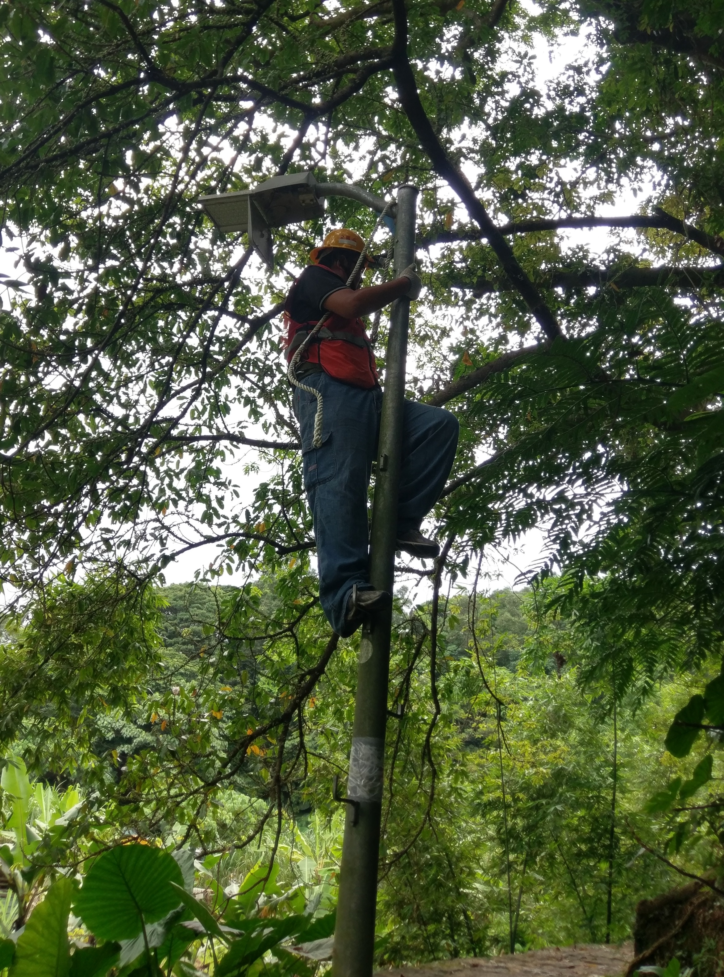 白鷺鷥山檢修路燈2