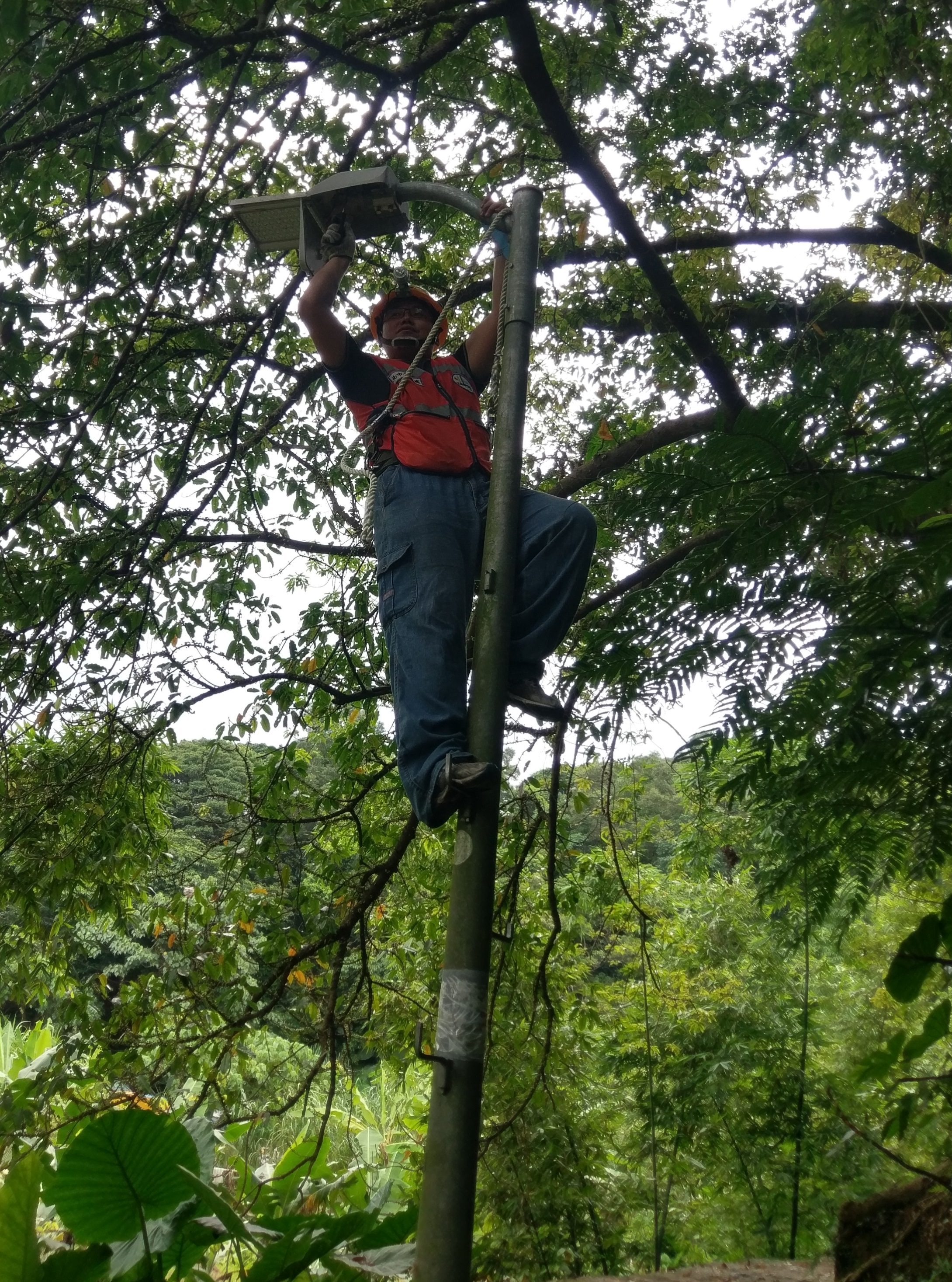 白鷺鷥山檢修路燈3