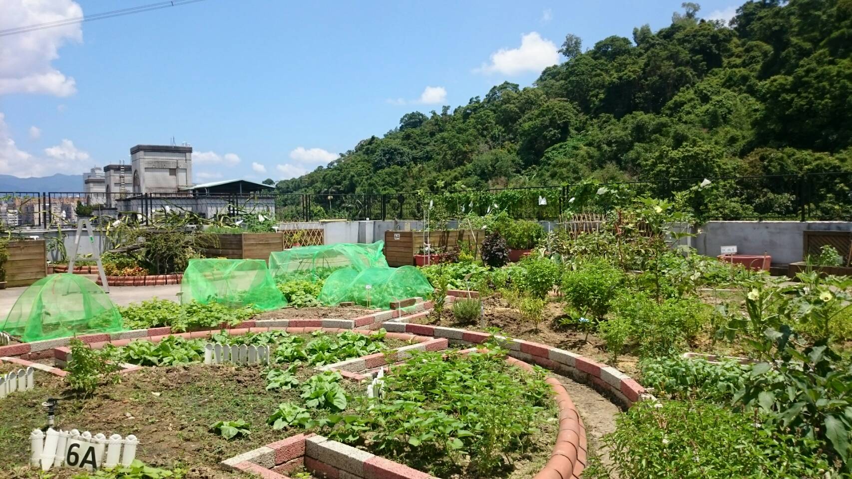 田園城市-綠屋頂(聯合醫院松德院區)1