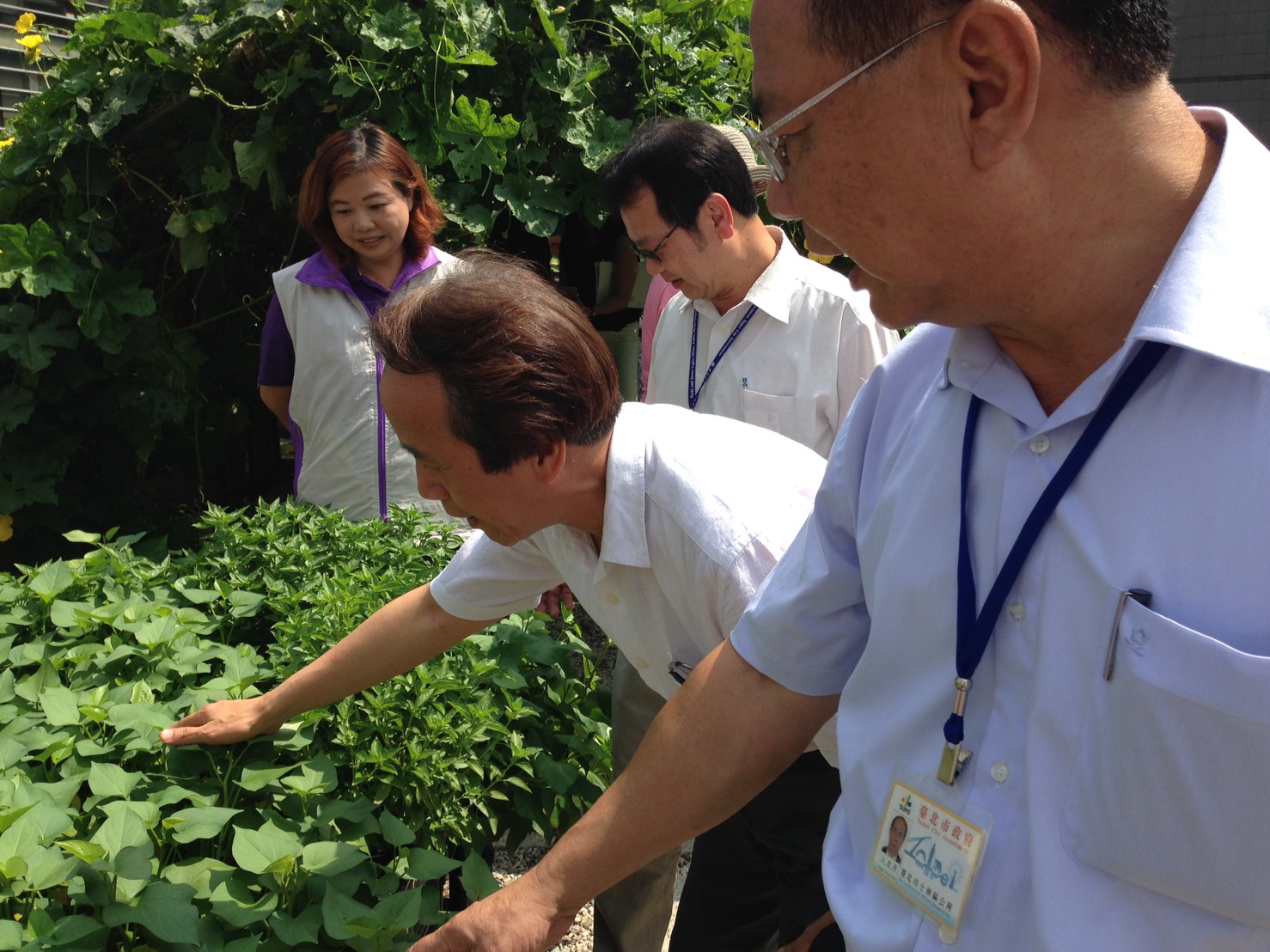 林副市長視察田園城市-綠屋頂(仰德區民活動中心)2