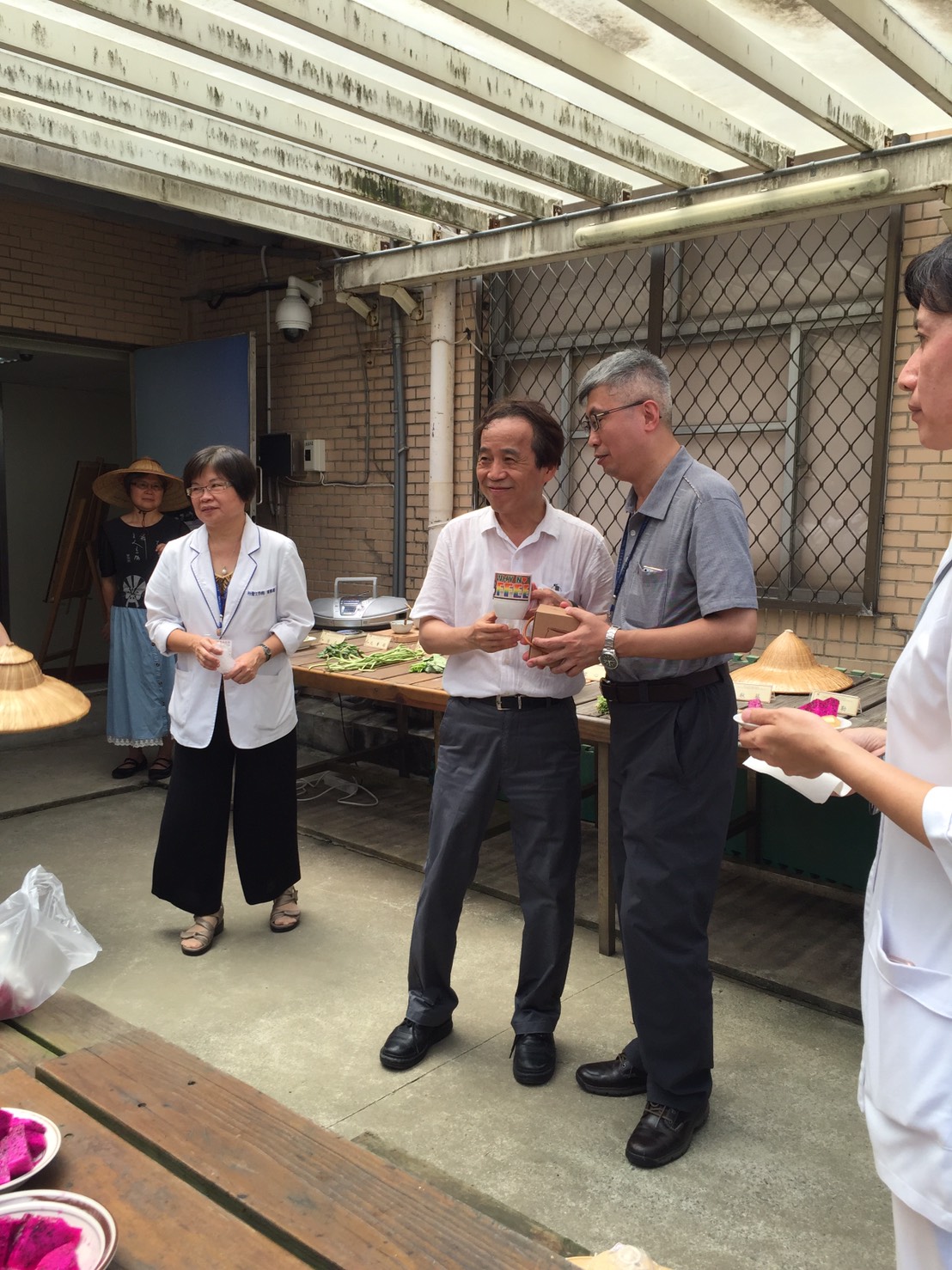 林副市長視察田園城市-綠屋頂(聯合醫院松德院區)6