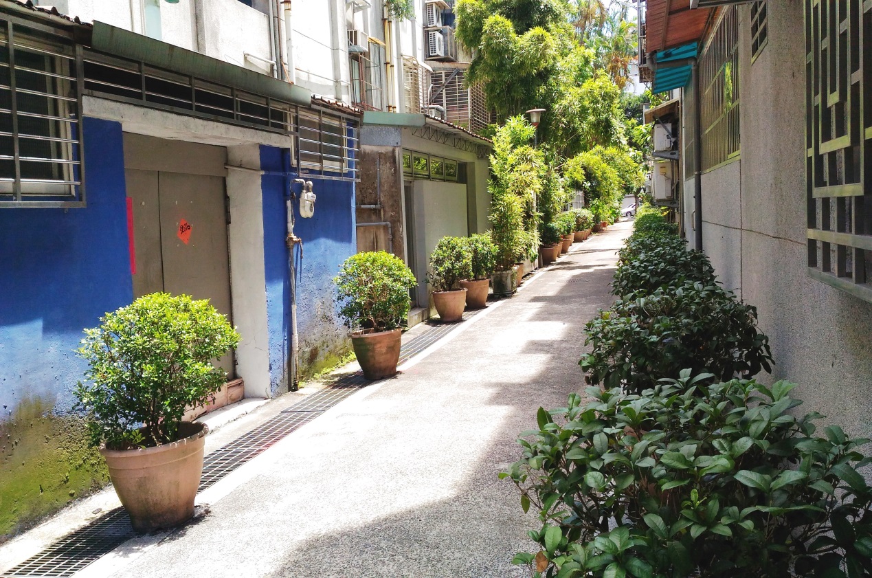 圖8、整齊俐落的植株布置於精忠公園旁的巷弄，為平凡的小路增添了幾分美感。