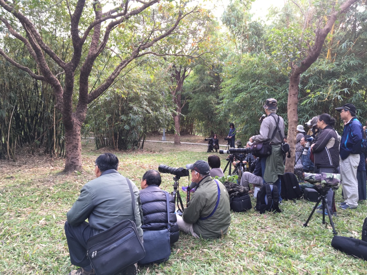 圖5、民眾在鳥巢前安靜的等待
