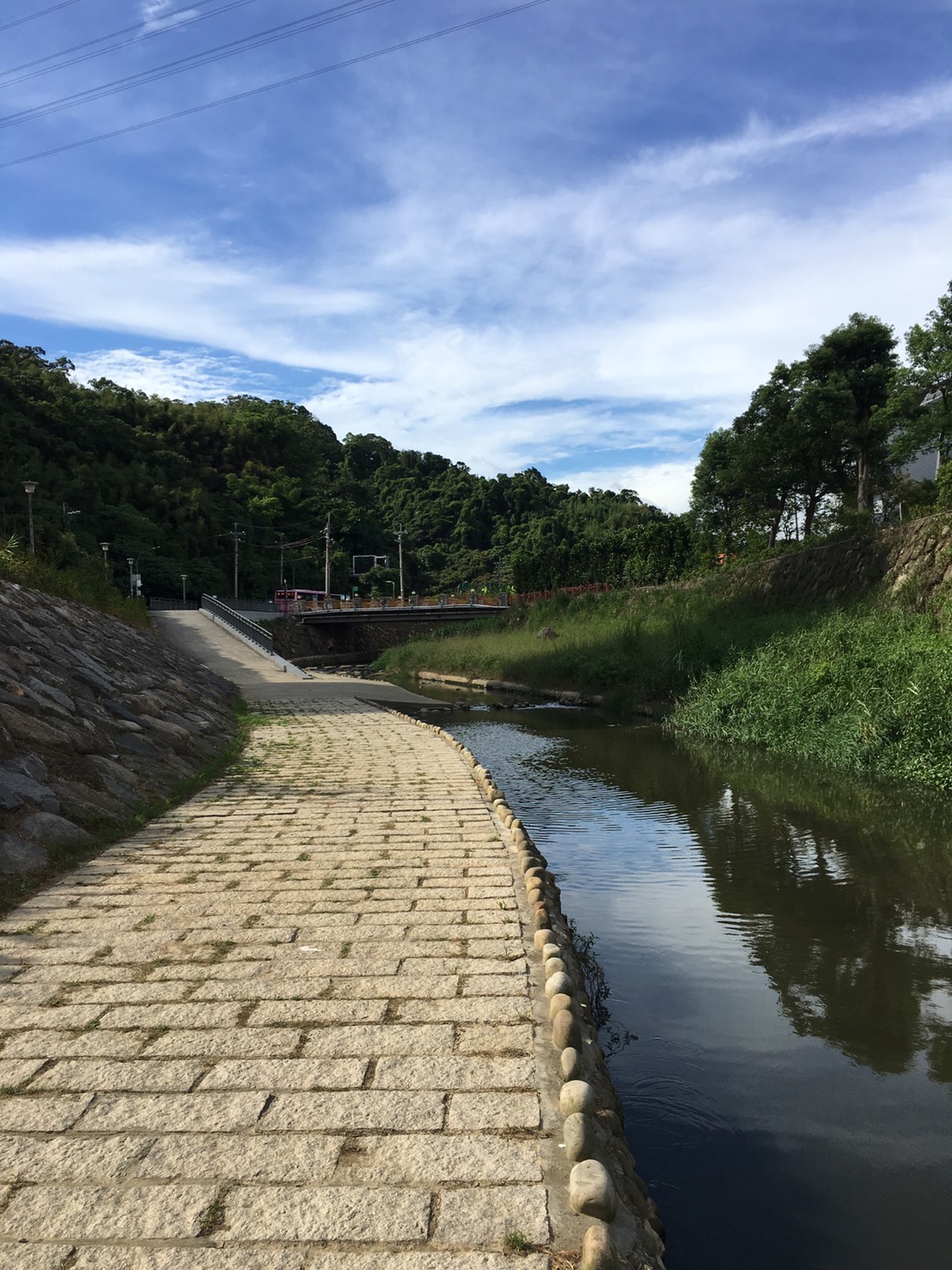圖8、內溝溪生態步道2