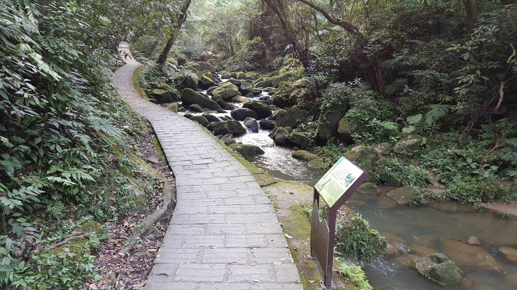 大溝溪溪畔步道平緩好走