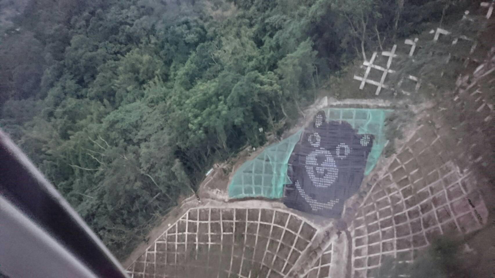 搭乘貓纜與可愛臺灣黑熊「say hello！」