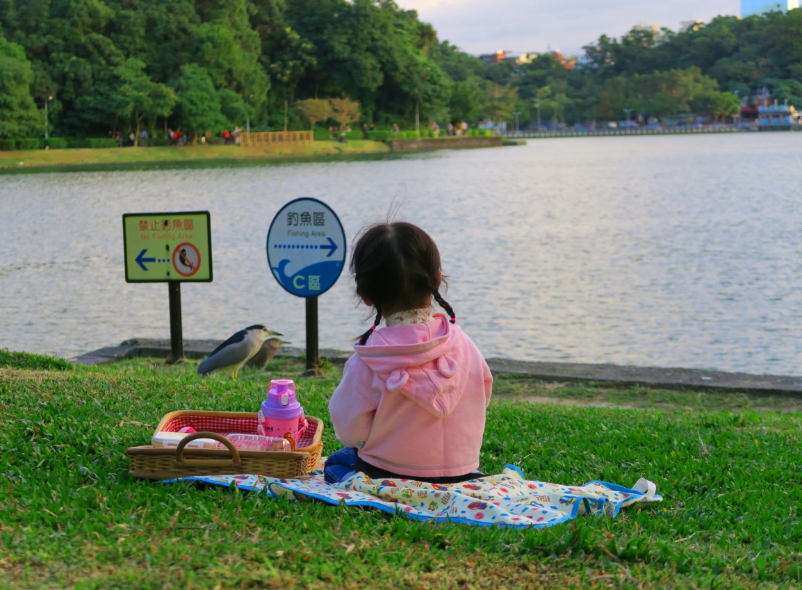 圖8.湖邊賞湖野餐好愜意，還有夜鷺相伴。