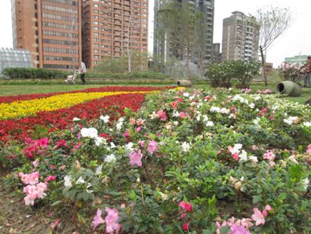 (圖1) 3月裡盛開杜鵑花配合花毯成為北市焦點