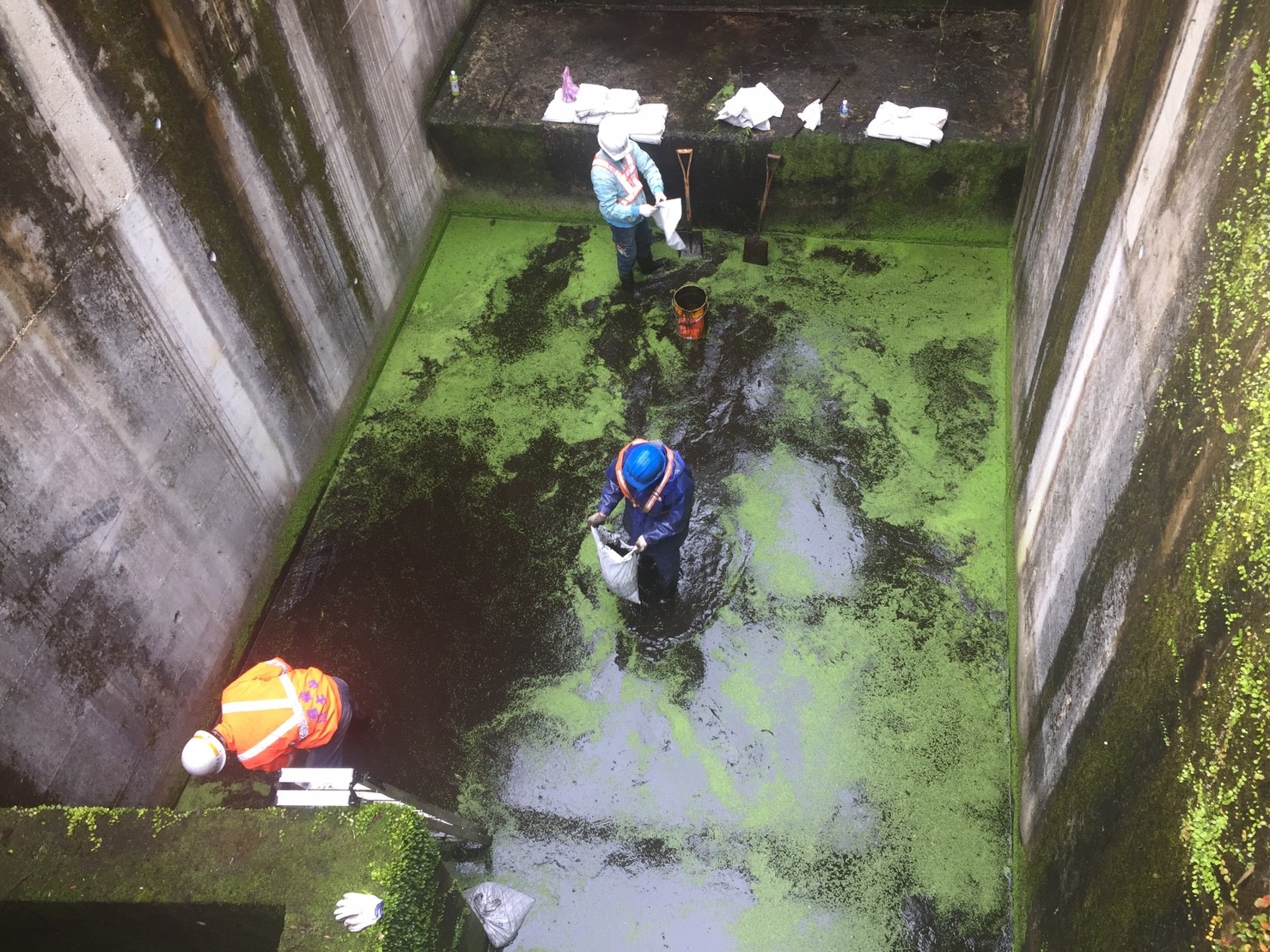 臺北市格致路168號後側滯洪沉沙池清淤情形