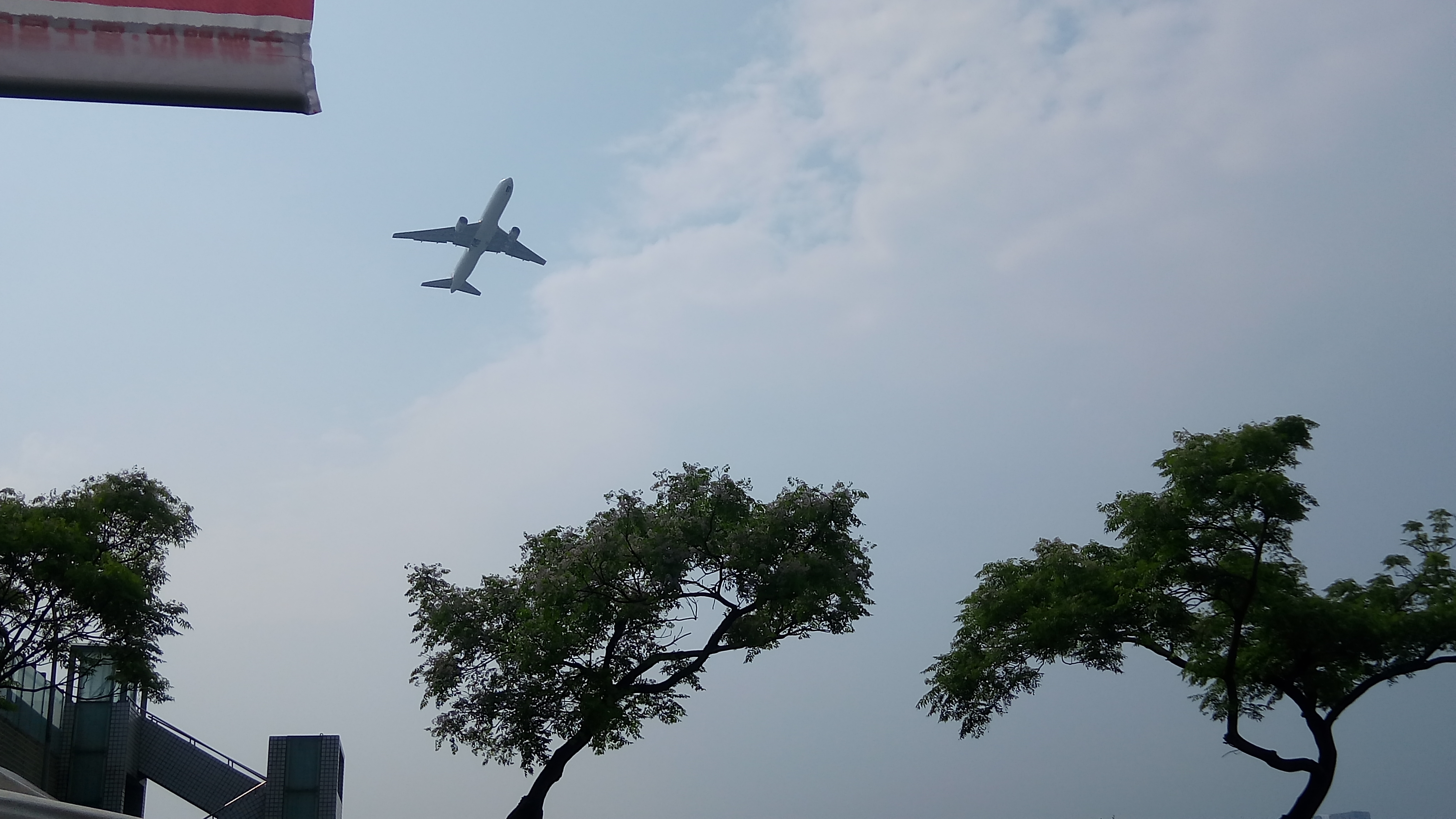 圖5.飛機與楝花的交會