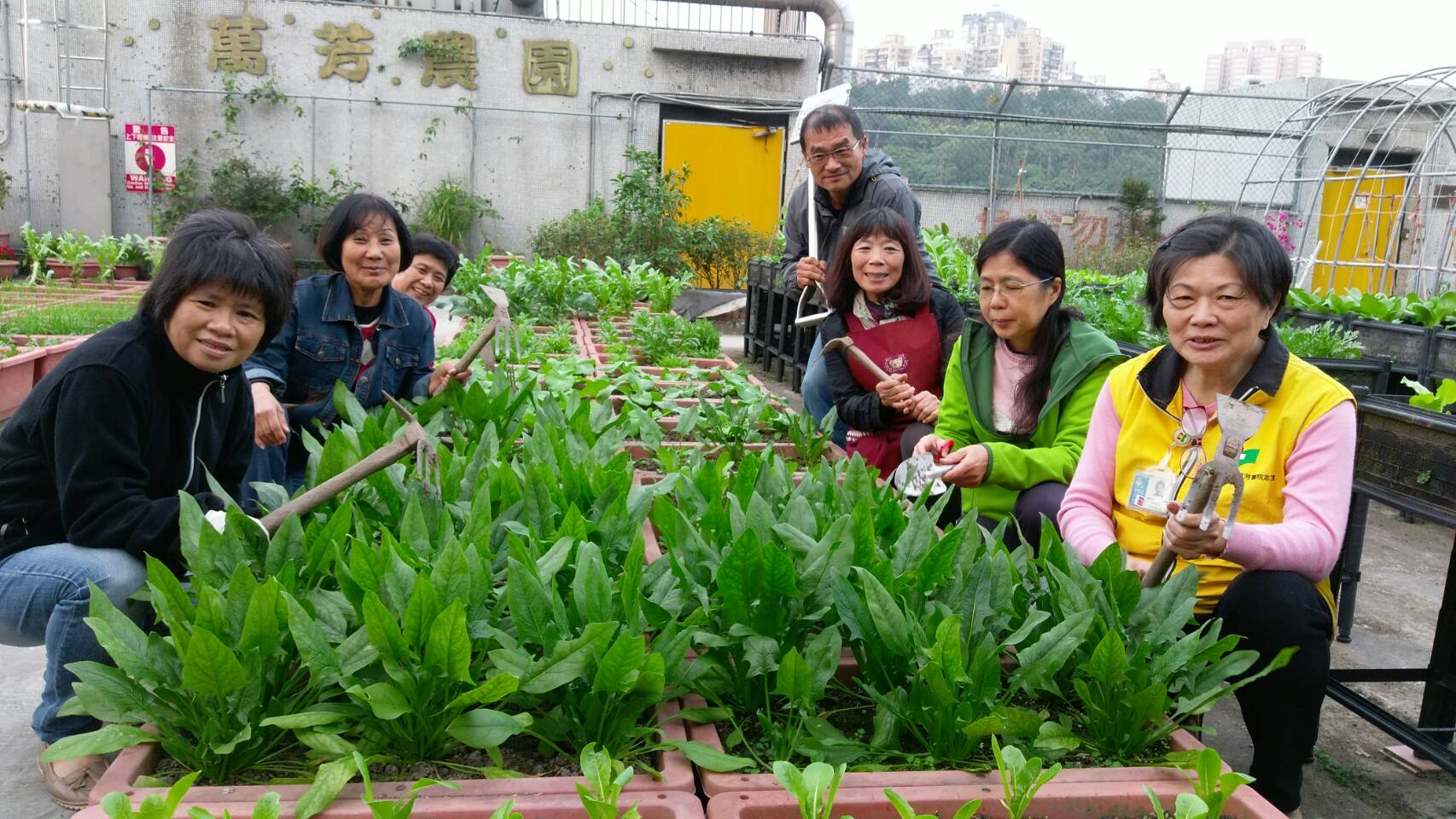 醫院志工攜手維護萬芳農園