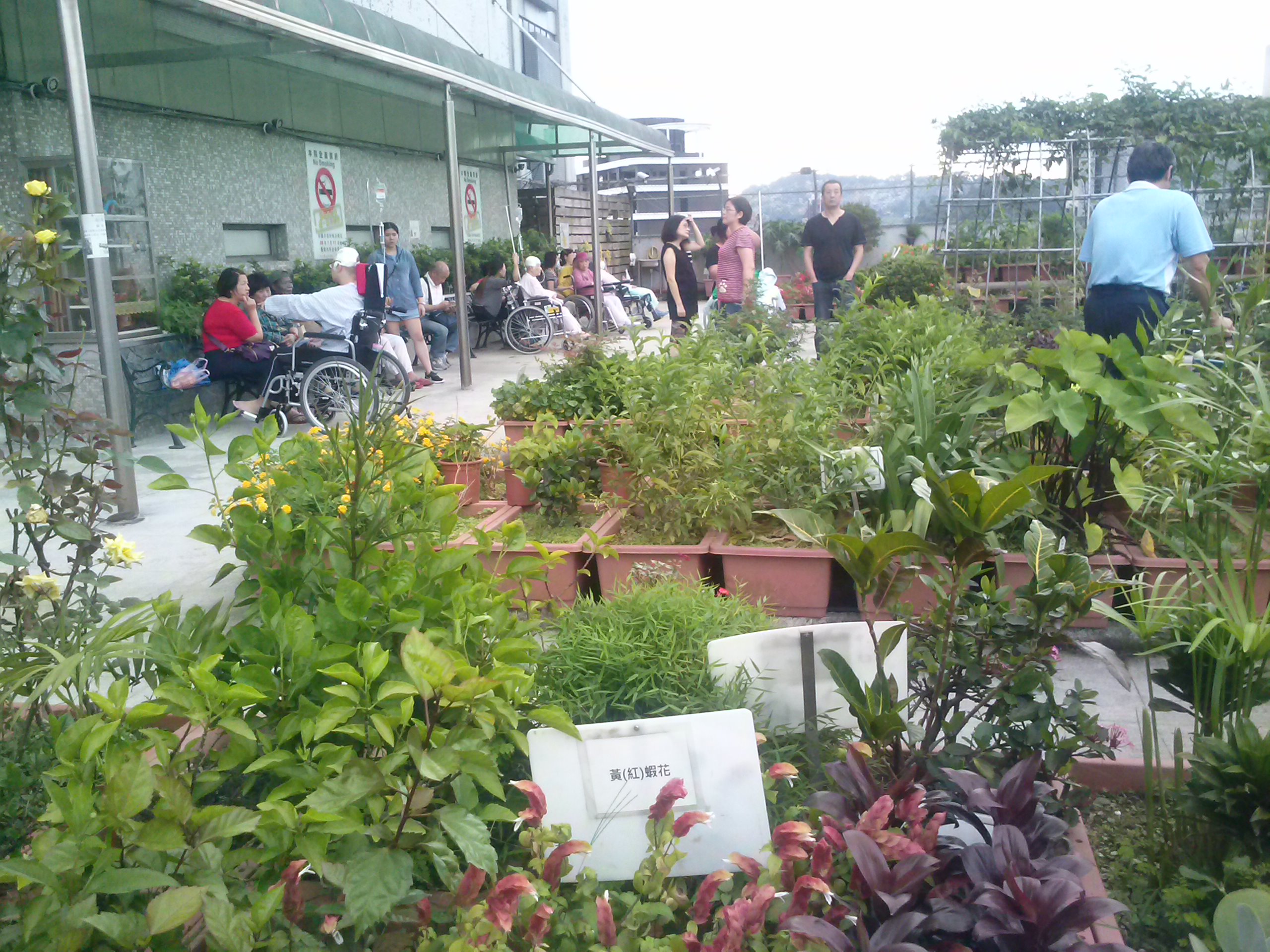 萬芳農園一隅