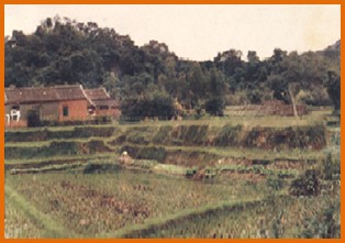 內湖區第一期重劃前，大部分為農地，低矮房舍座落其間之二