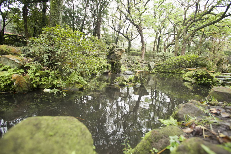 照片7：恢復舊日美景的日式庭園。