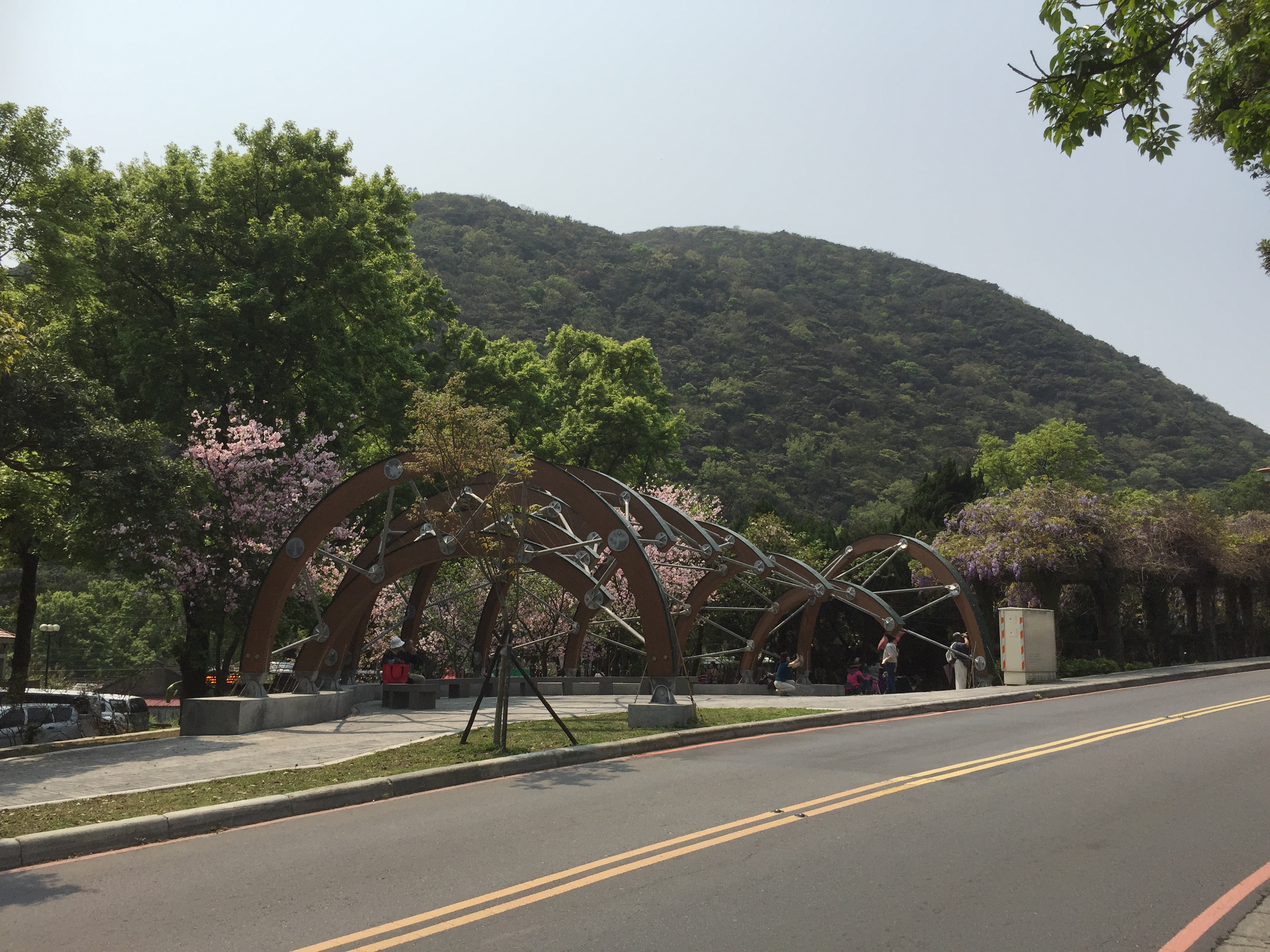 照片8：仿若紗帽山之紫藤花架，成為公園入口新地標。