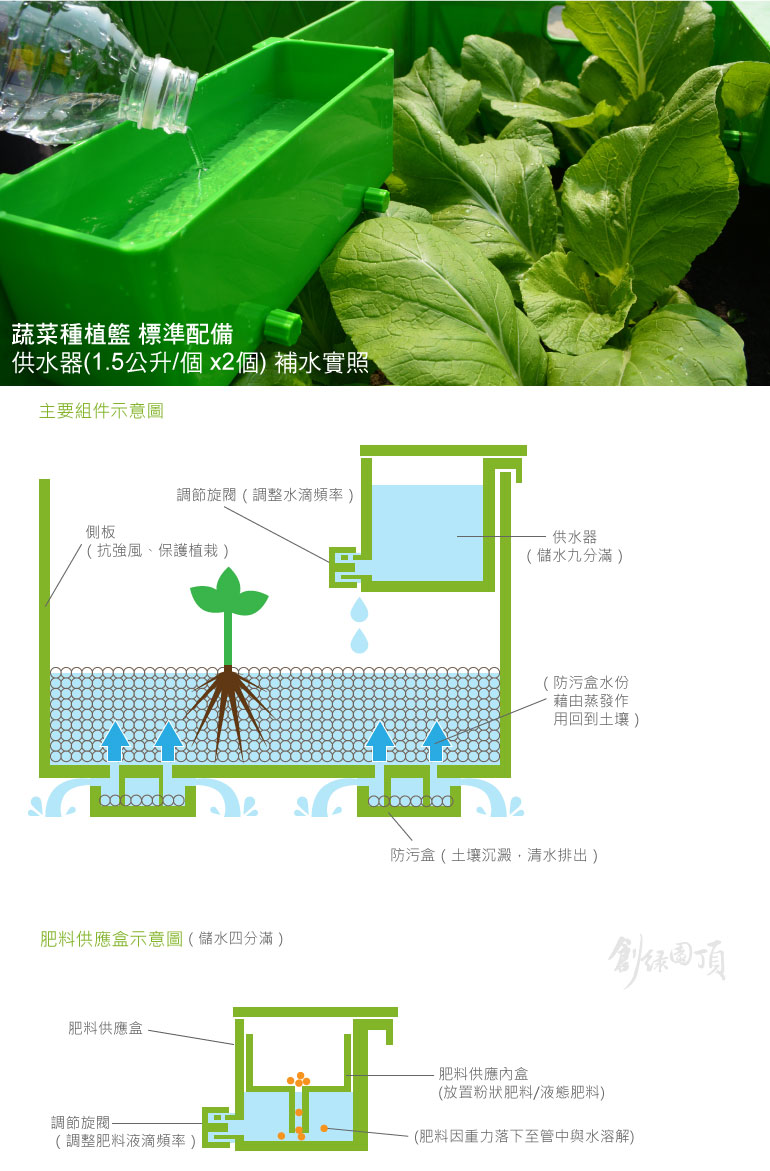 蔬菜種植籃示意圖