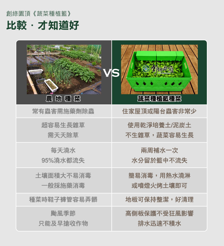 農地種菜與蔬菜種植籃種菜比較