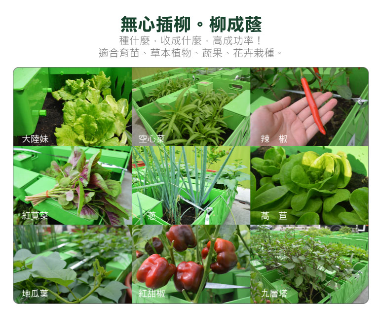 種什麼,收成什麼,高成功率