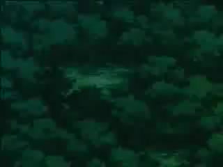 110-7092698.wmv