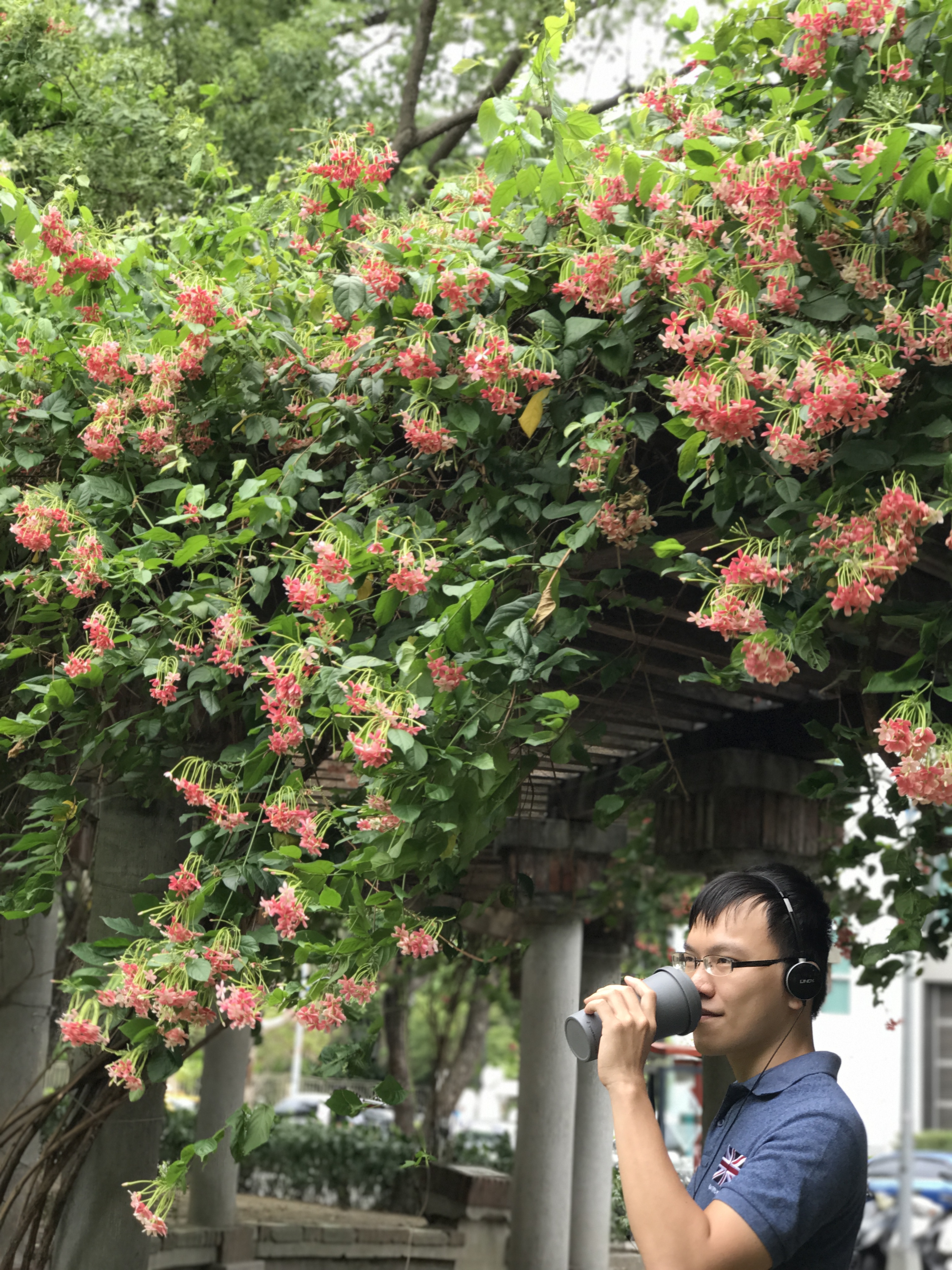 18在盛開的使君子庭下小小放鬆一下吧!